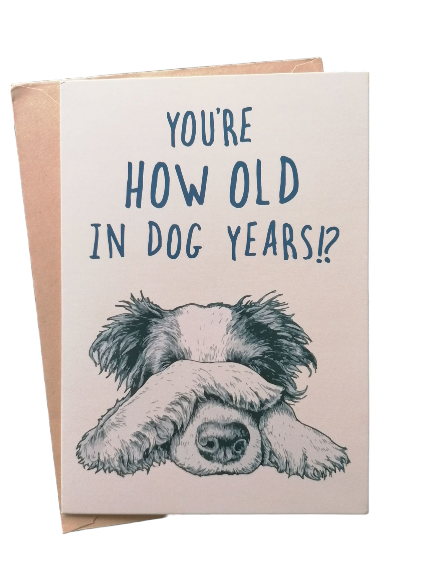 Birthday Card - You're How Old In Dog Years!?