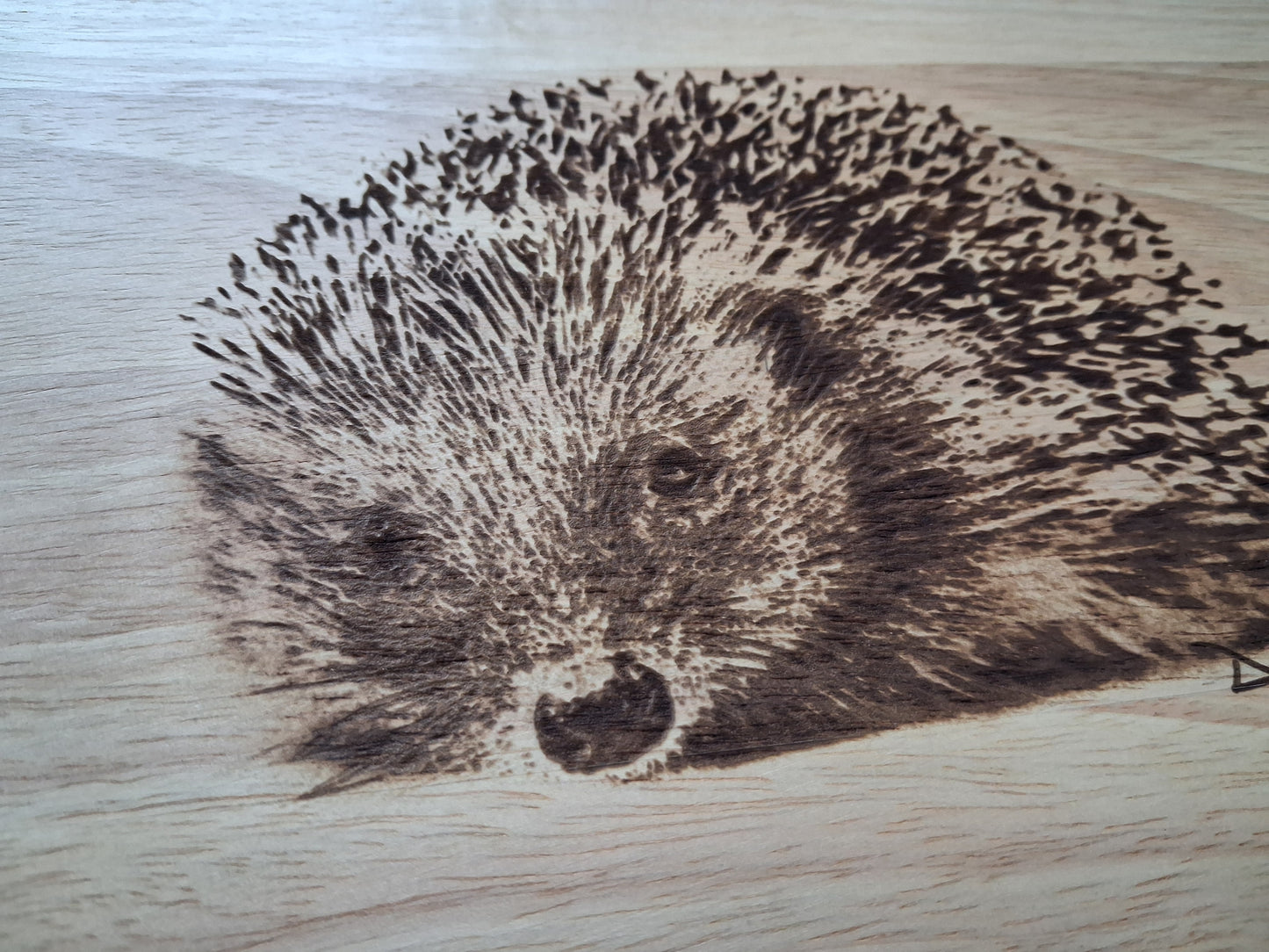 Hedgehog Design Lazy Susan close-up image