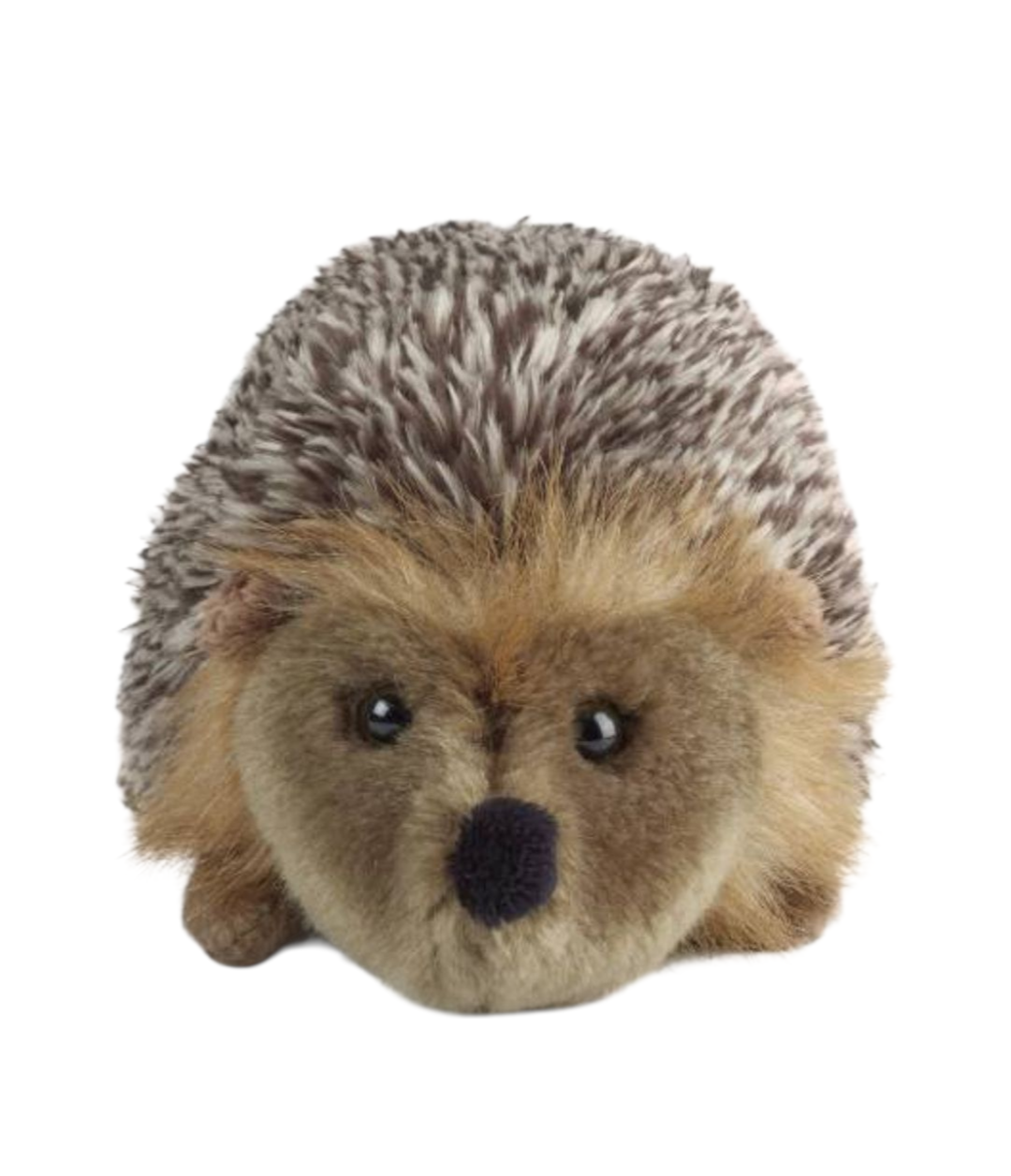 Hedgehog Eco-Friendly Plush Soft Toy image from front