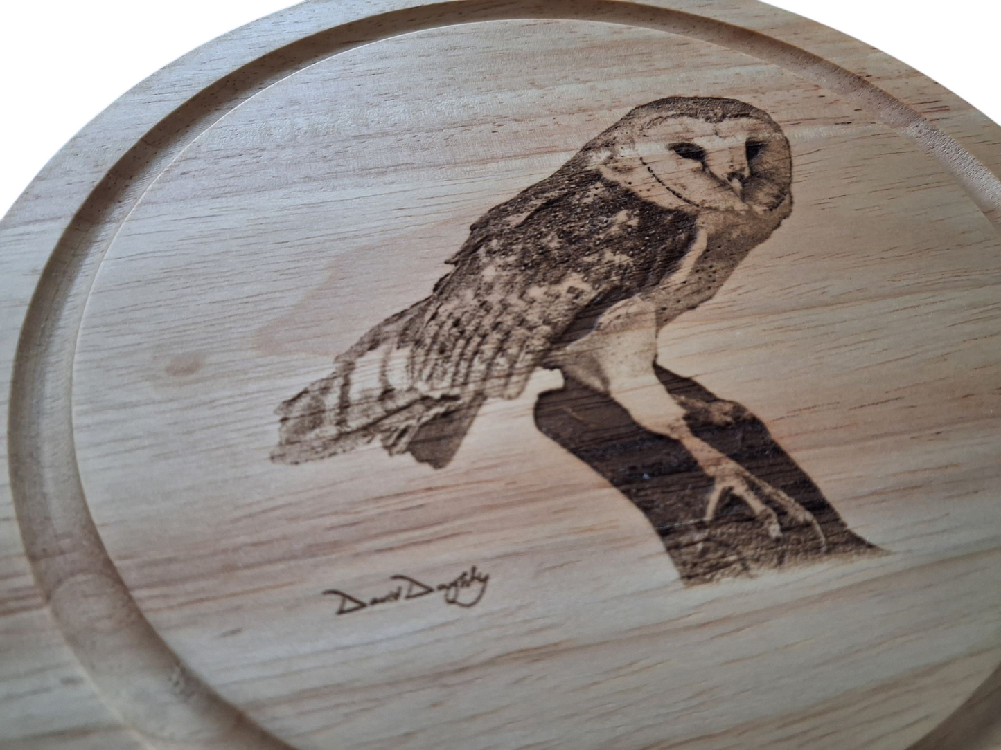 Barn Owl Design Cheese Set Close-Up Photo