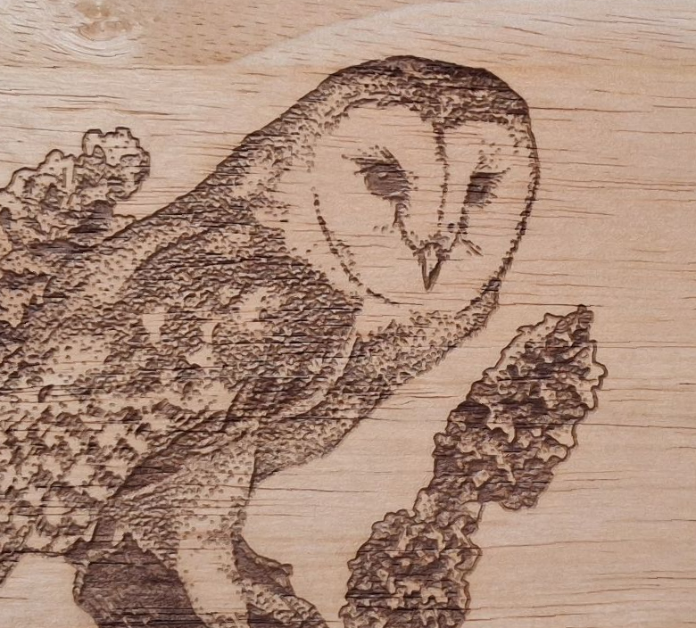Barn Owl *Exclusive Design* Lazy Susan close-up image