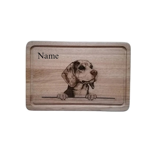 Beagle dog photo