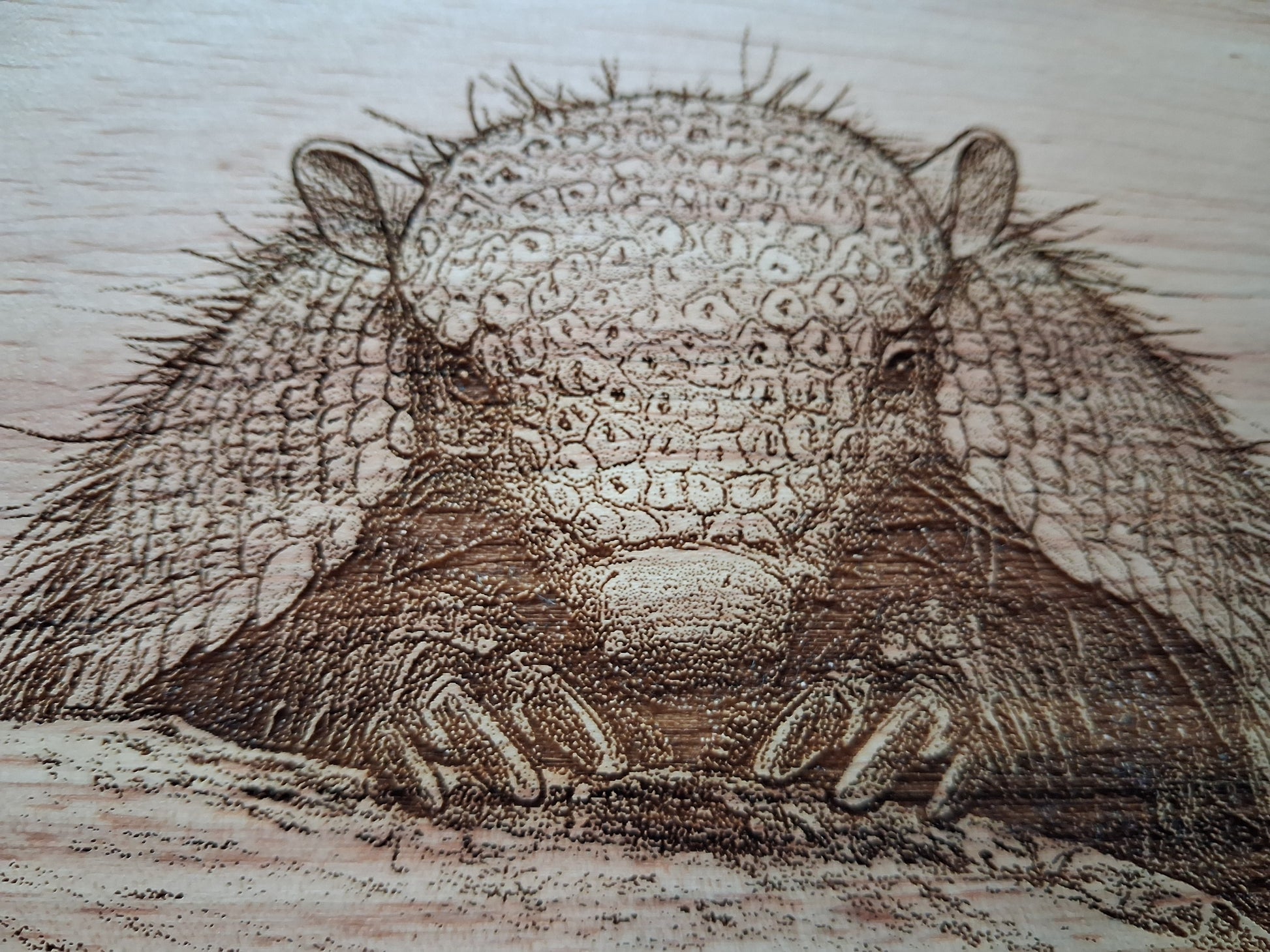 Armadillo Design Cheese Board Set with Tools Close-up 