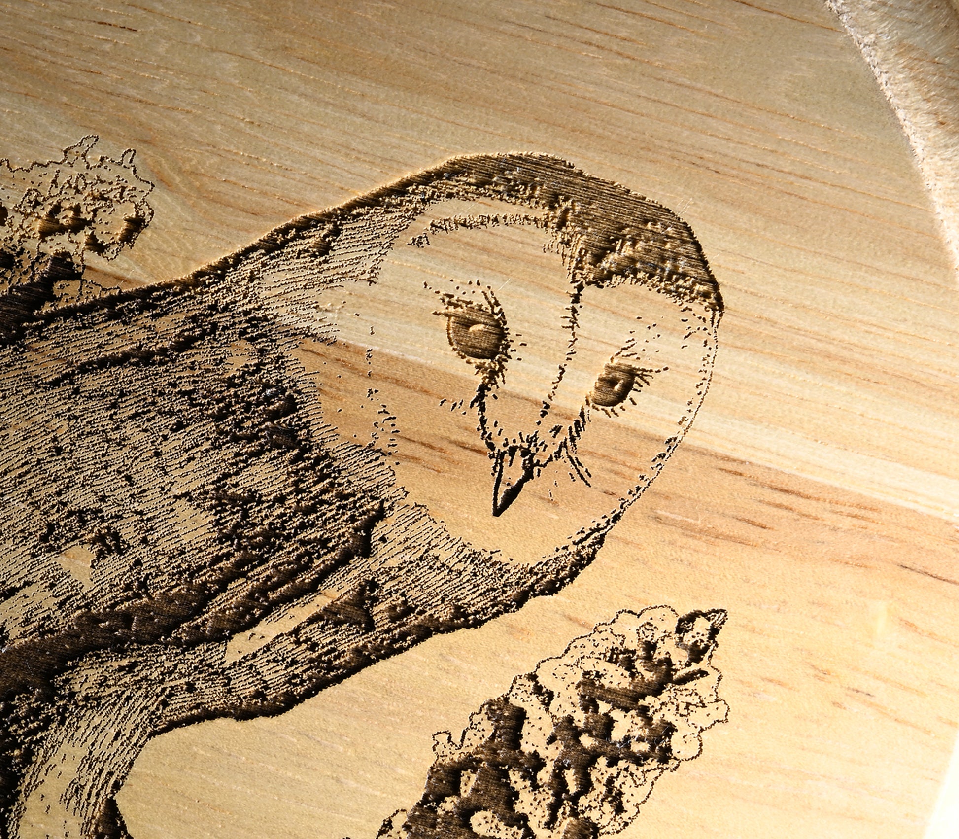 Barn Owl *Exclusive Design* Cheese Board Set with Tools Close-up Image