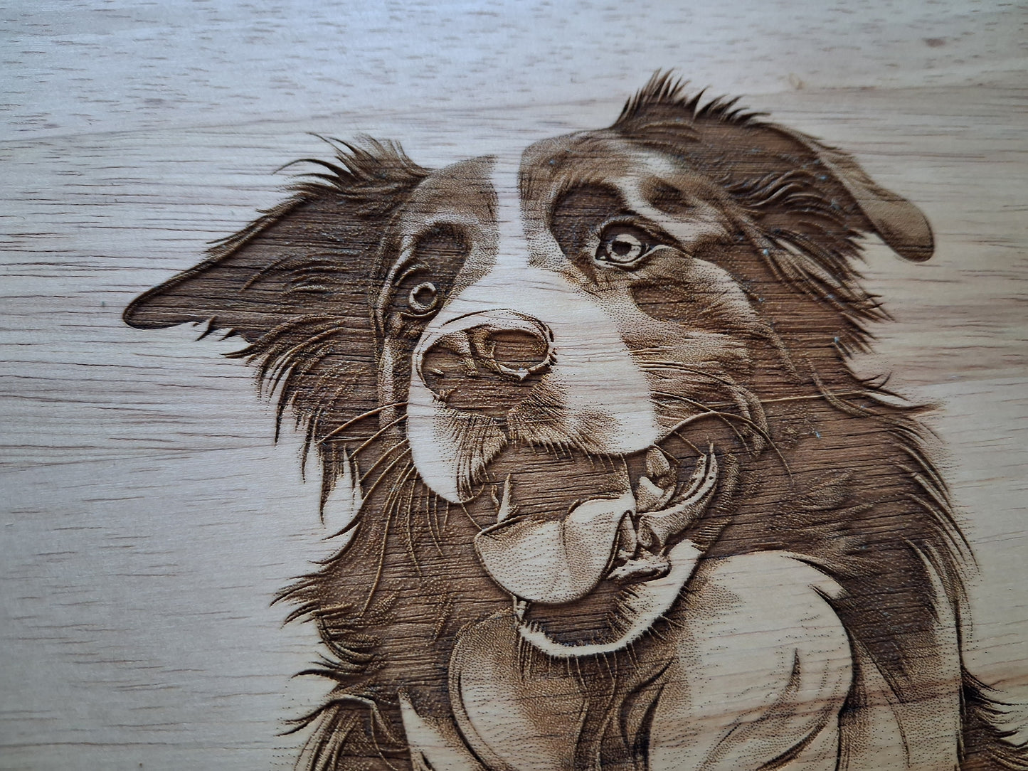 Border Collie Dog Design #2 Small Chopping Board Close-up 