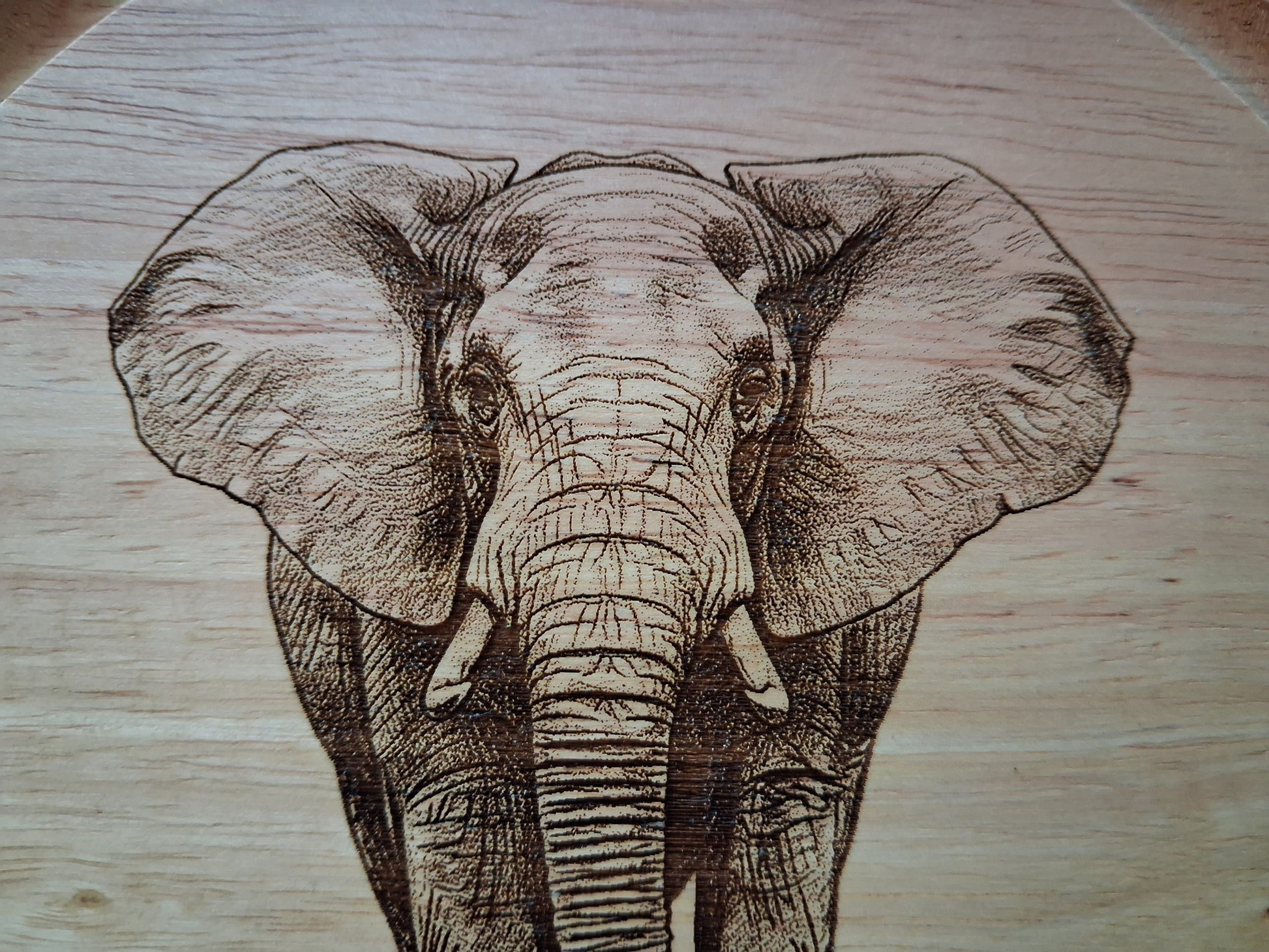 Bull Elephant - Cheese Board Set with Tools (21cm dia. x 4cm). - Close-up 