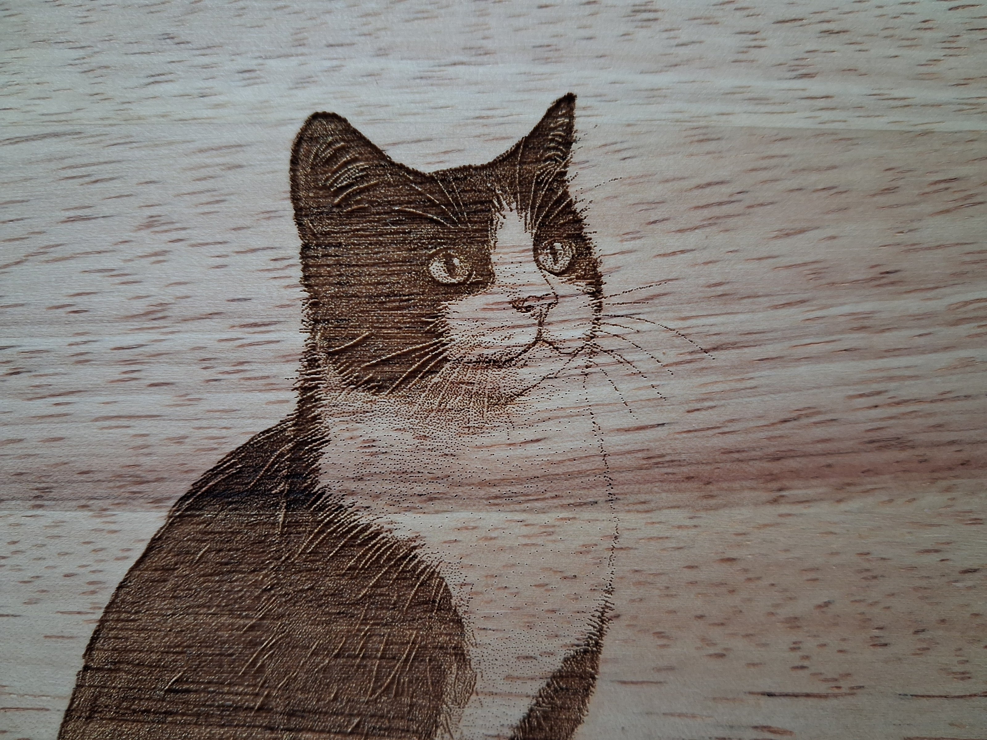 Cat Design #24 Small Chopping Board (30x20x1.7cm). Close-up image. 