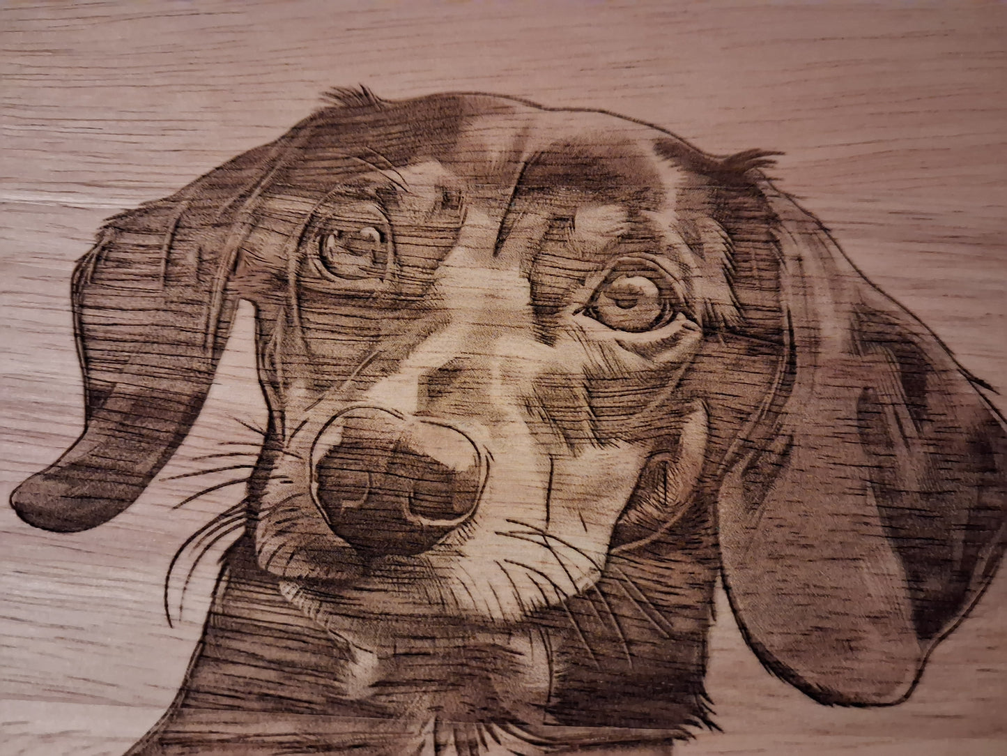Dachshund Dog Design #4 Lazy Susan (Dia: 35cm) Close-up 