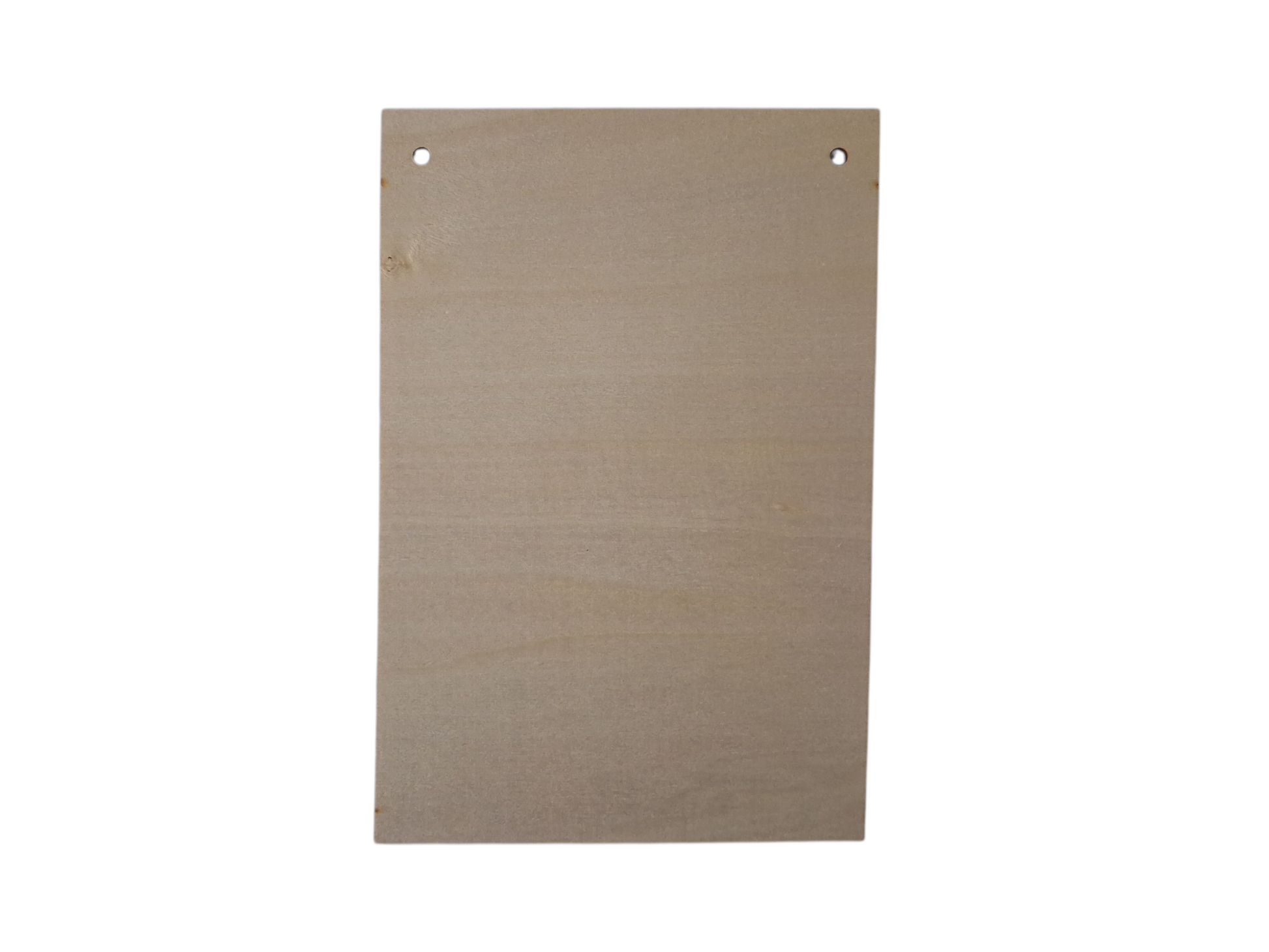 Dachshund Fun Wood Sign (20x13.5cm) With String Back