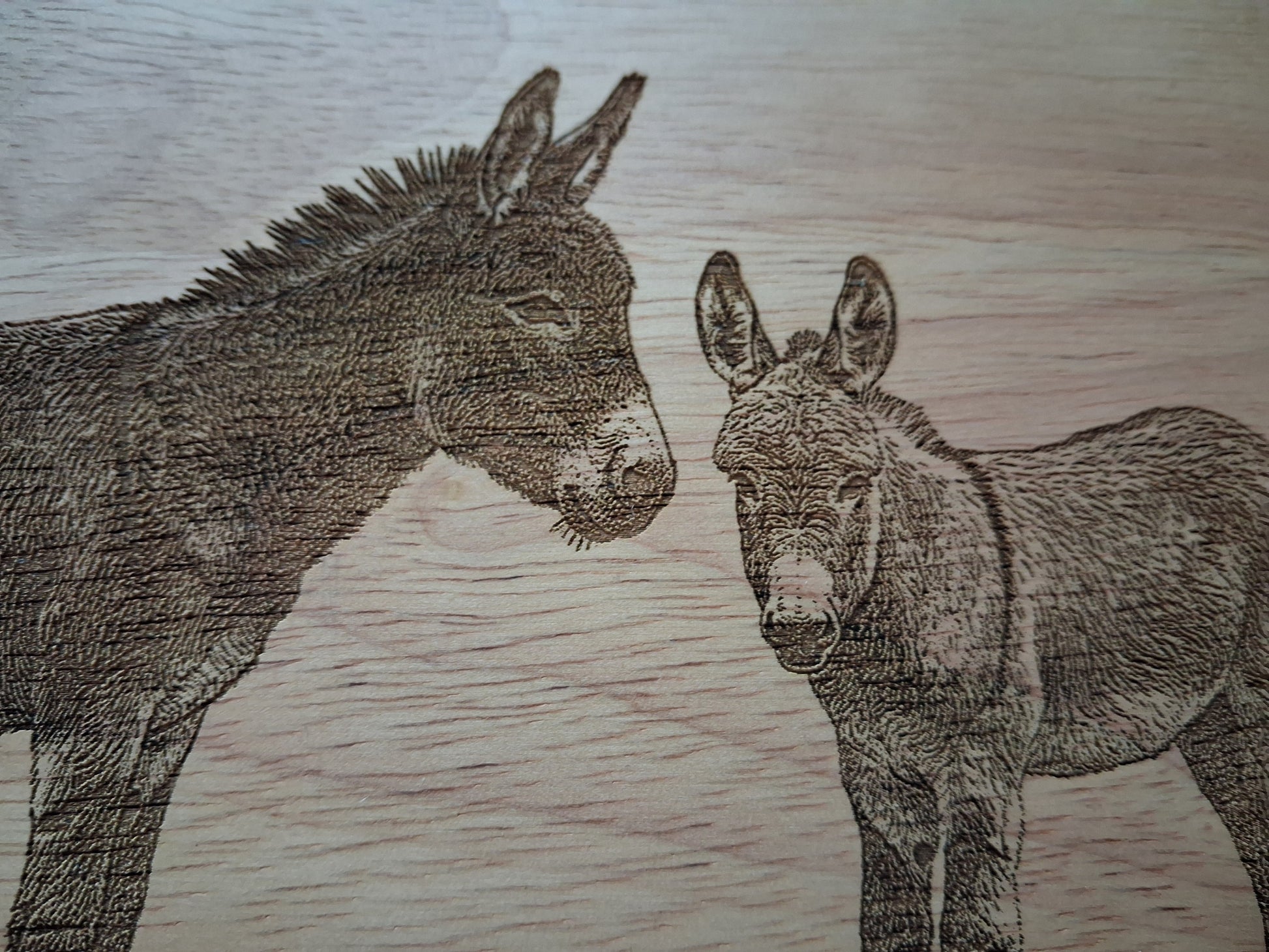 Donkey & Foal - Lazy Susan (Dia: 35cm) - Close-up 