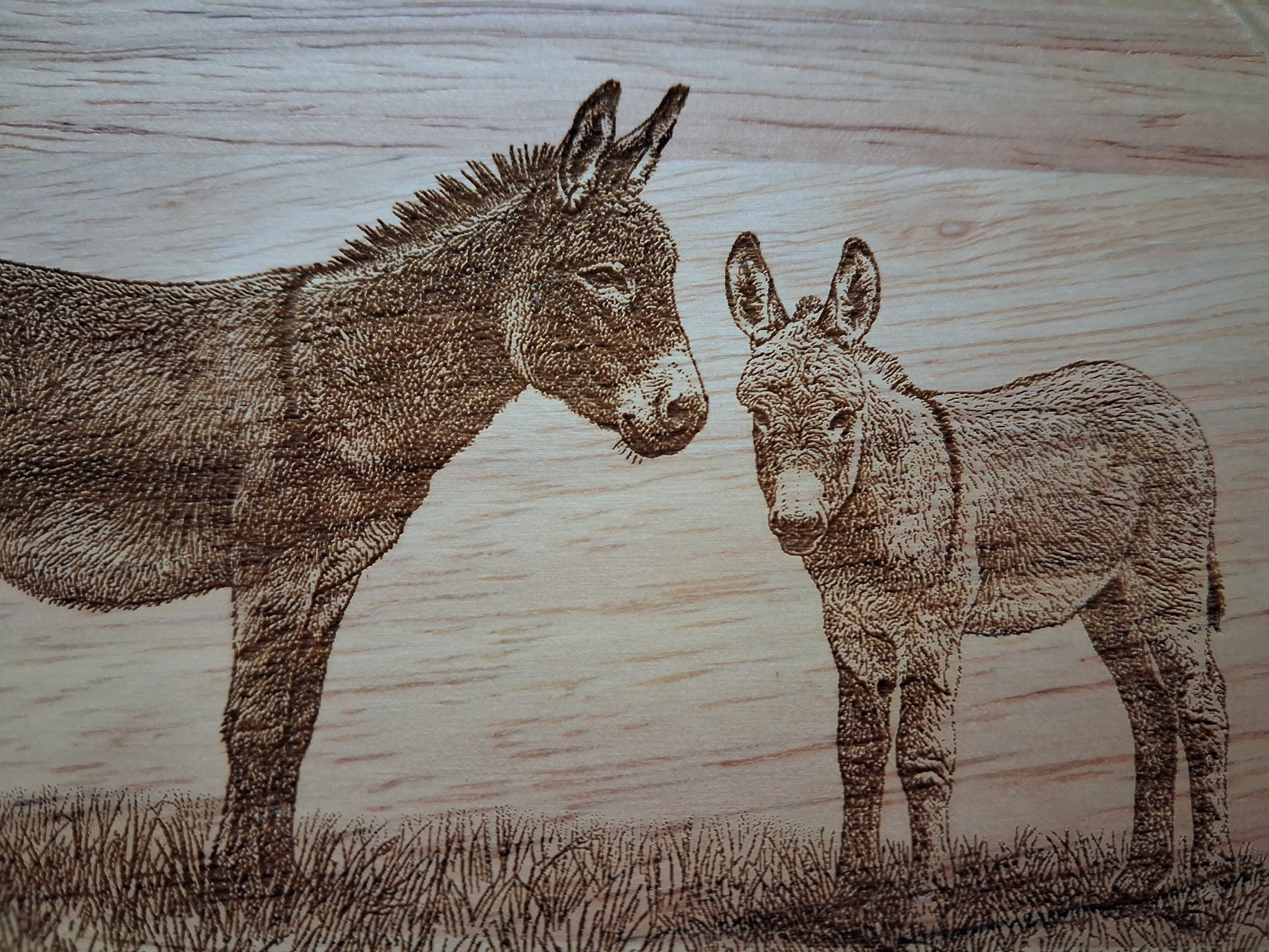 Donkeys 'Forever & Always' Design Cheese Board Set with Tools Close-up 