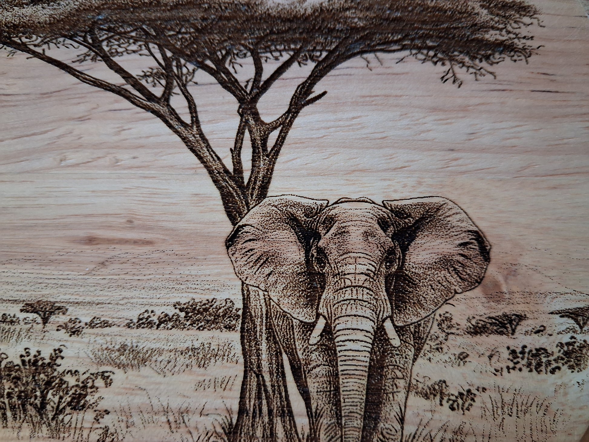 Elephant & Acacia Tree Design Cheese Board Set with Tools Close-up 