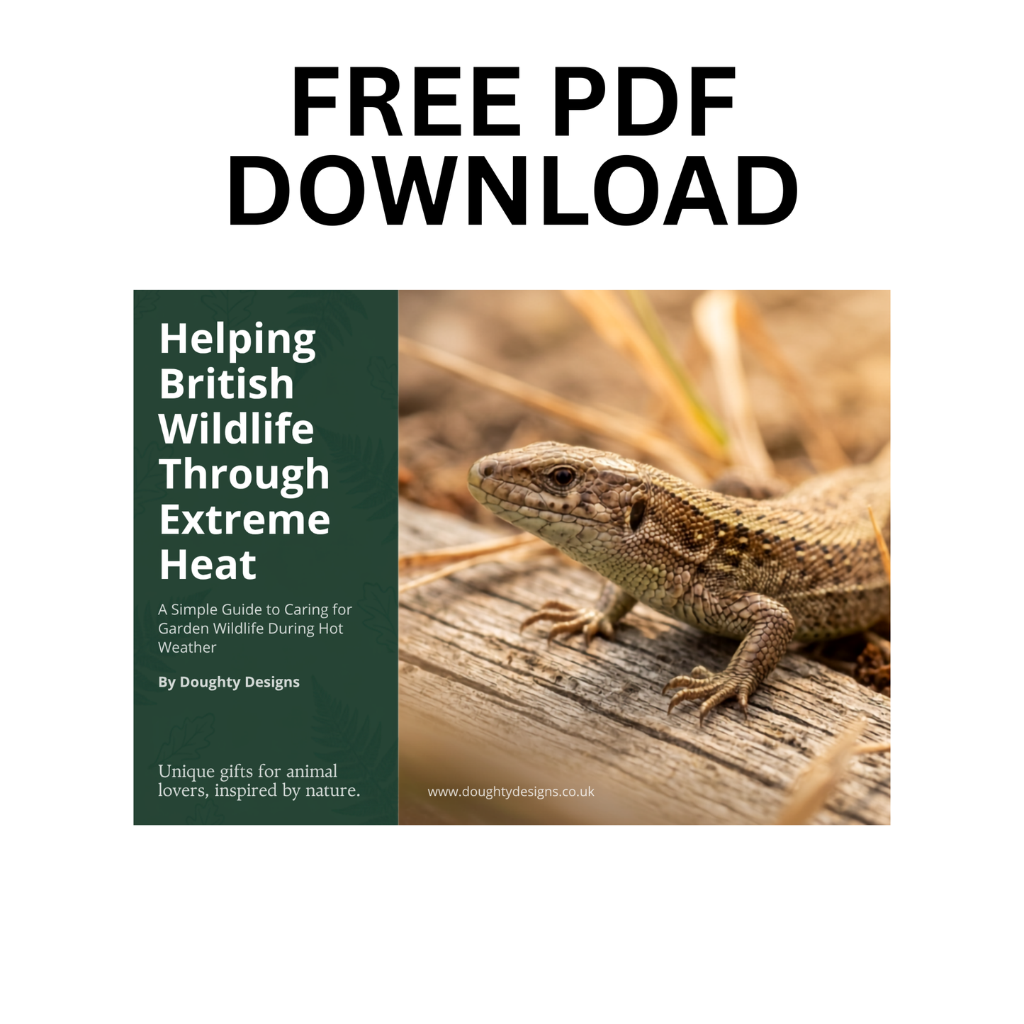 Helping British Wildlife Through Extreme Heat - FREE PDF Download