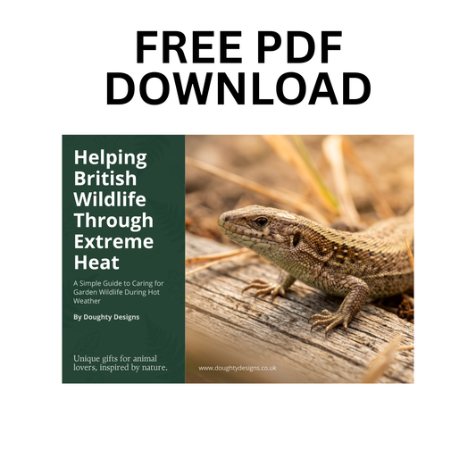 Helping British Wildlife Through Extreme Heat - FREE PDF Download