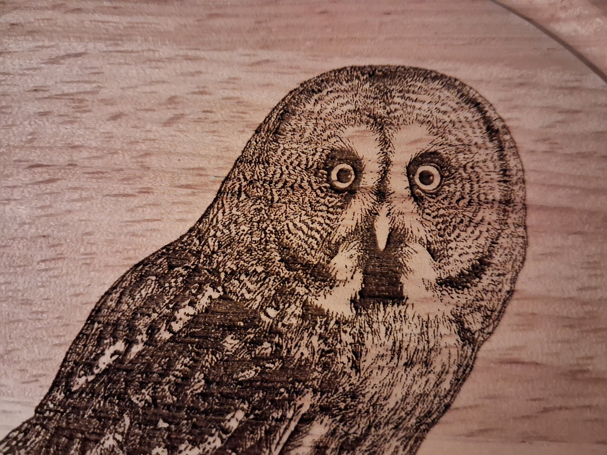 Great Grey Owl Design Cheese Board Set with Tools Close-up 