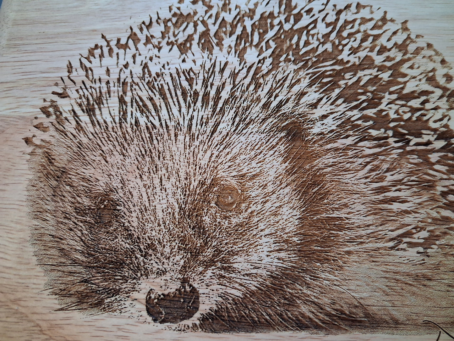 Hedgehog Design Large Chopping Board with Handle Close-up 