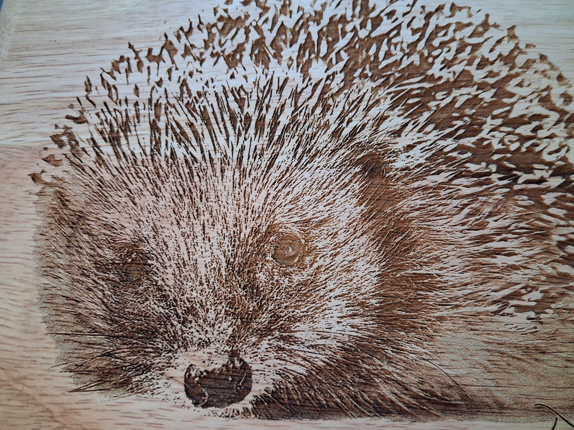 Hedgehog Design Large Chopping Board with Handle Close-up 