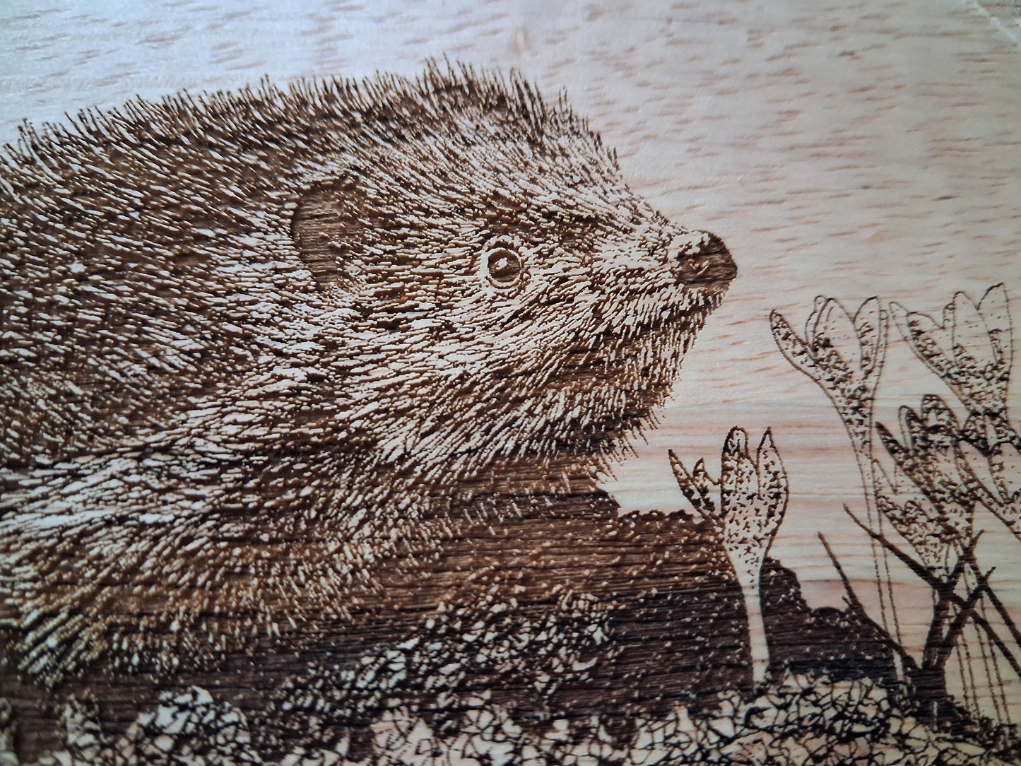 Hedgehog *Exclusive Design* Cheese Board Set with Tools Close-up 