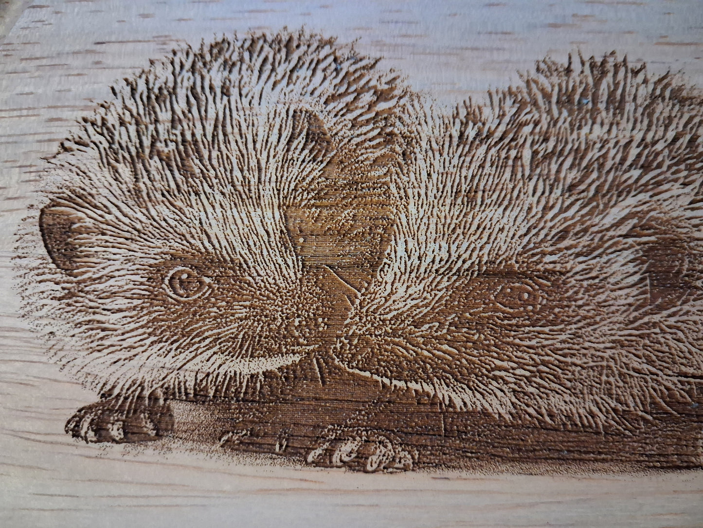 Hedgehogs 'Love is...' Design Cheese Board Set with Tools Close-up 