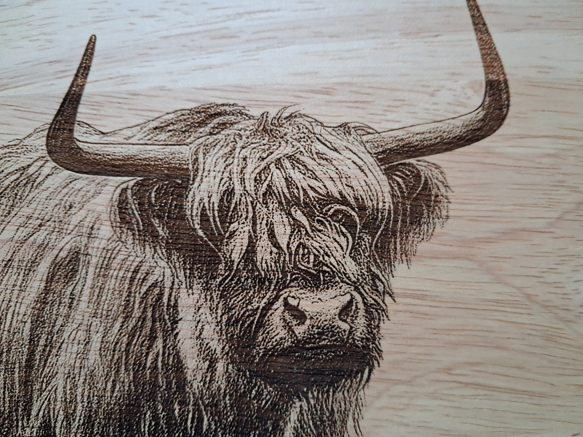 Highland Cow - Large Chopping Board with Handle (45x30x2cm) - Close-up 