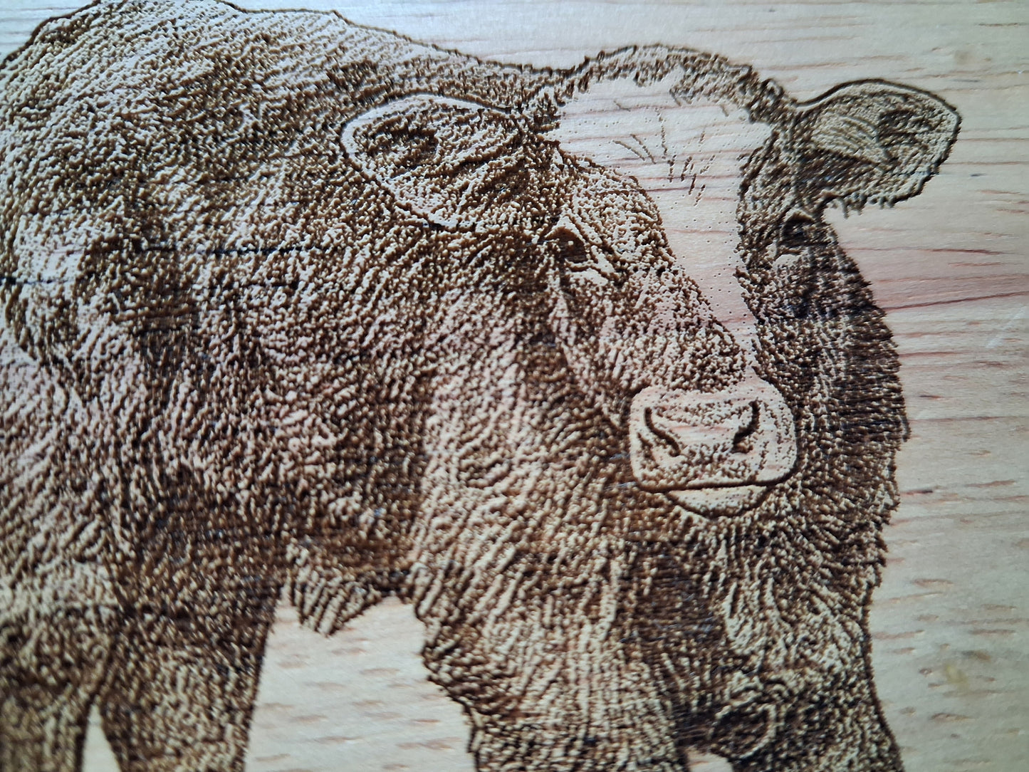 Highland Cow Calf 'Buttercup' Design Cheese Board Set with Tools Close-up 