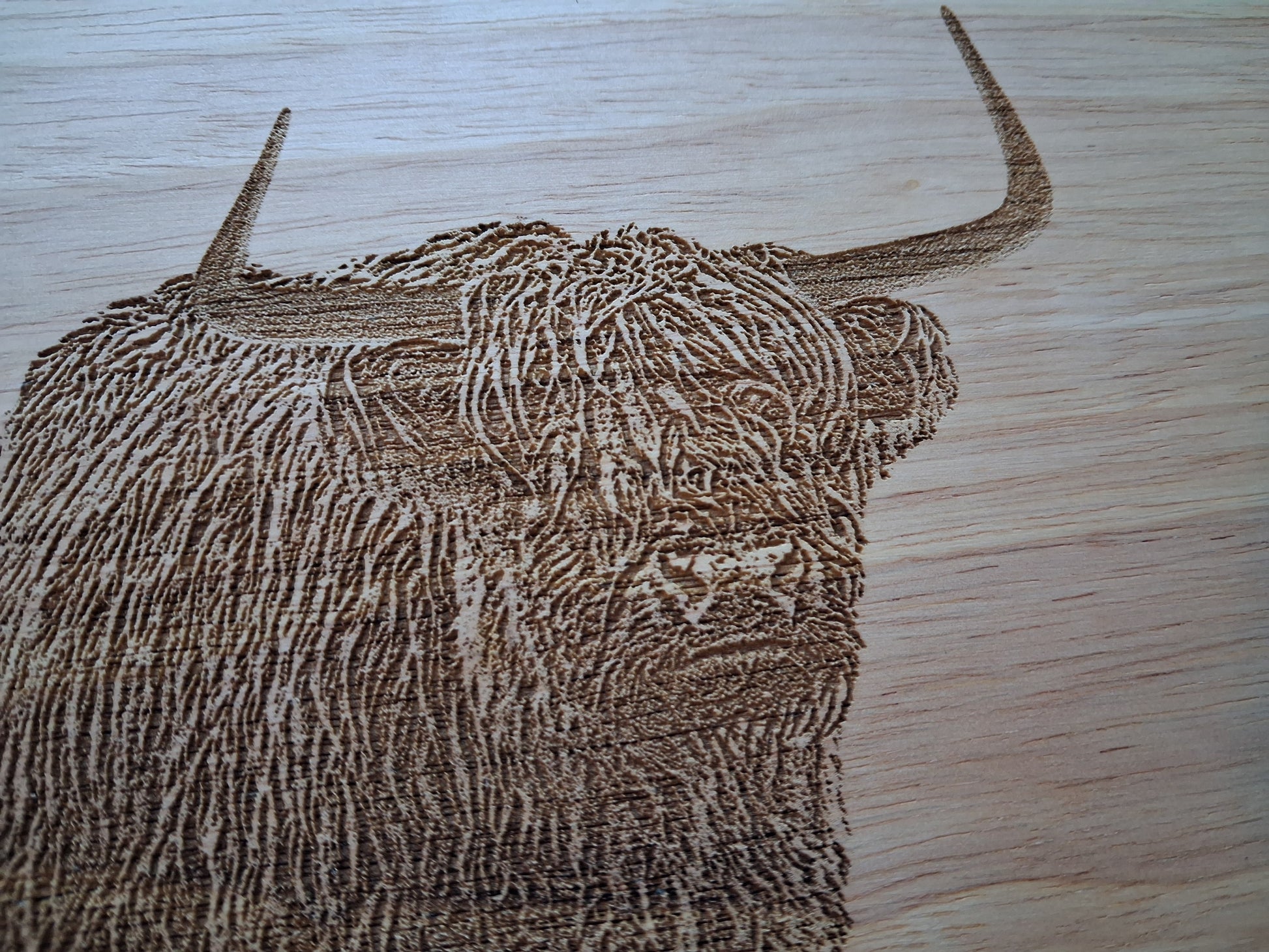 Highland Cow Design Lazy Susan Close-up 