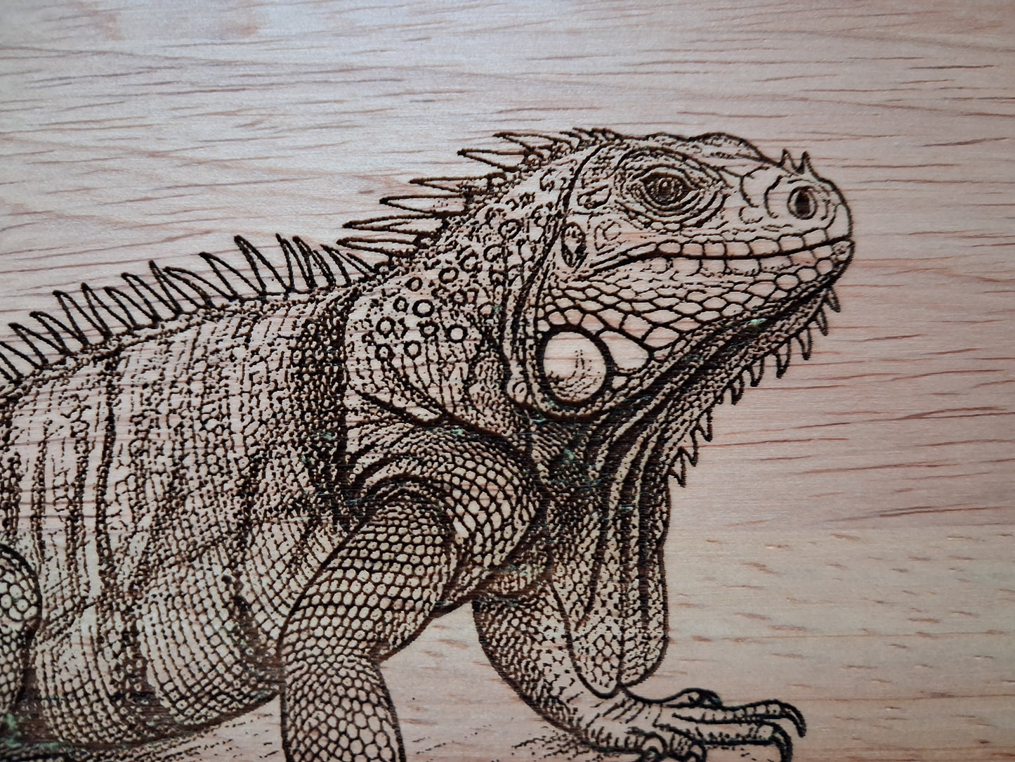 Iguana - Medium Wooden Chopping Board (34x24x2cm) - Close-up 