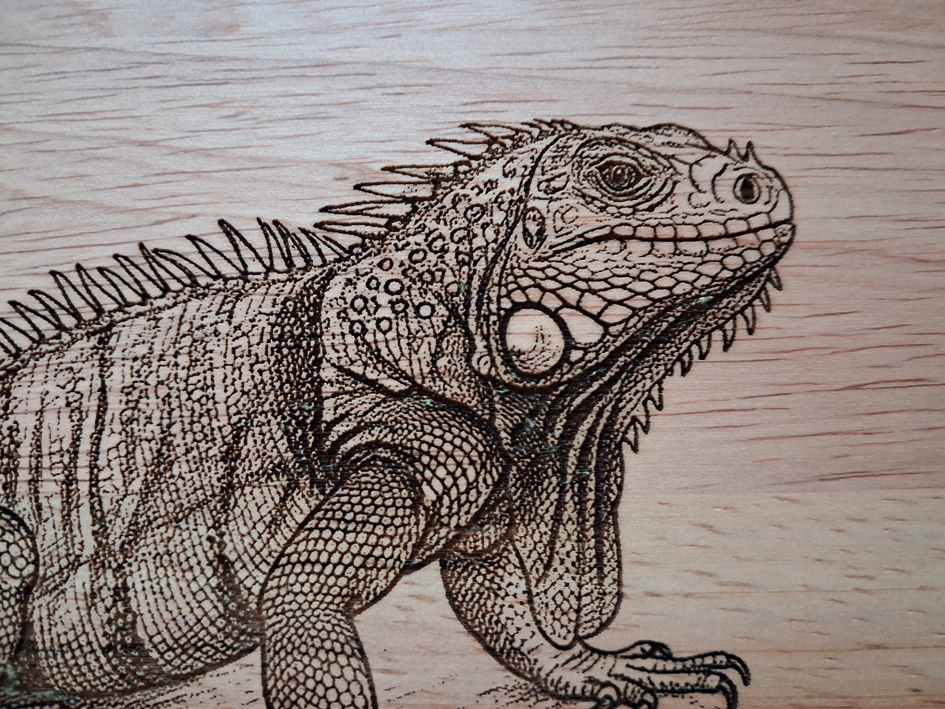 Iguana - Medium Wooden Chopping Board (34x24x2cm) - Close-up 