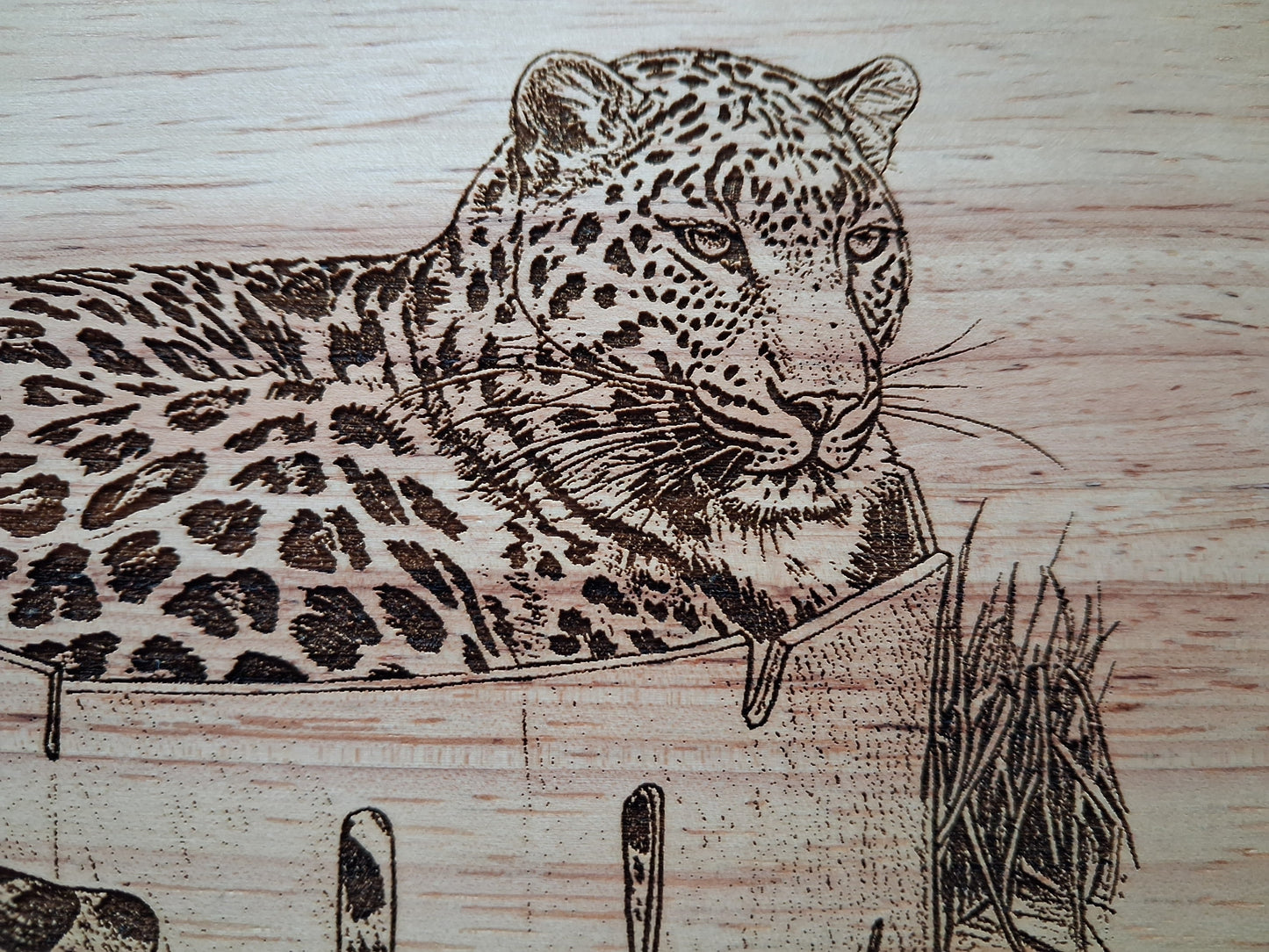 Leopard in a Box - Medium Wooden Chopping Board (34x24x2cm) - Close-up 