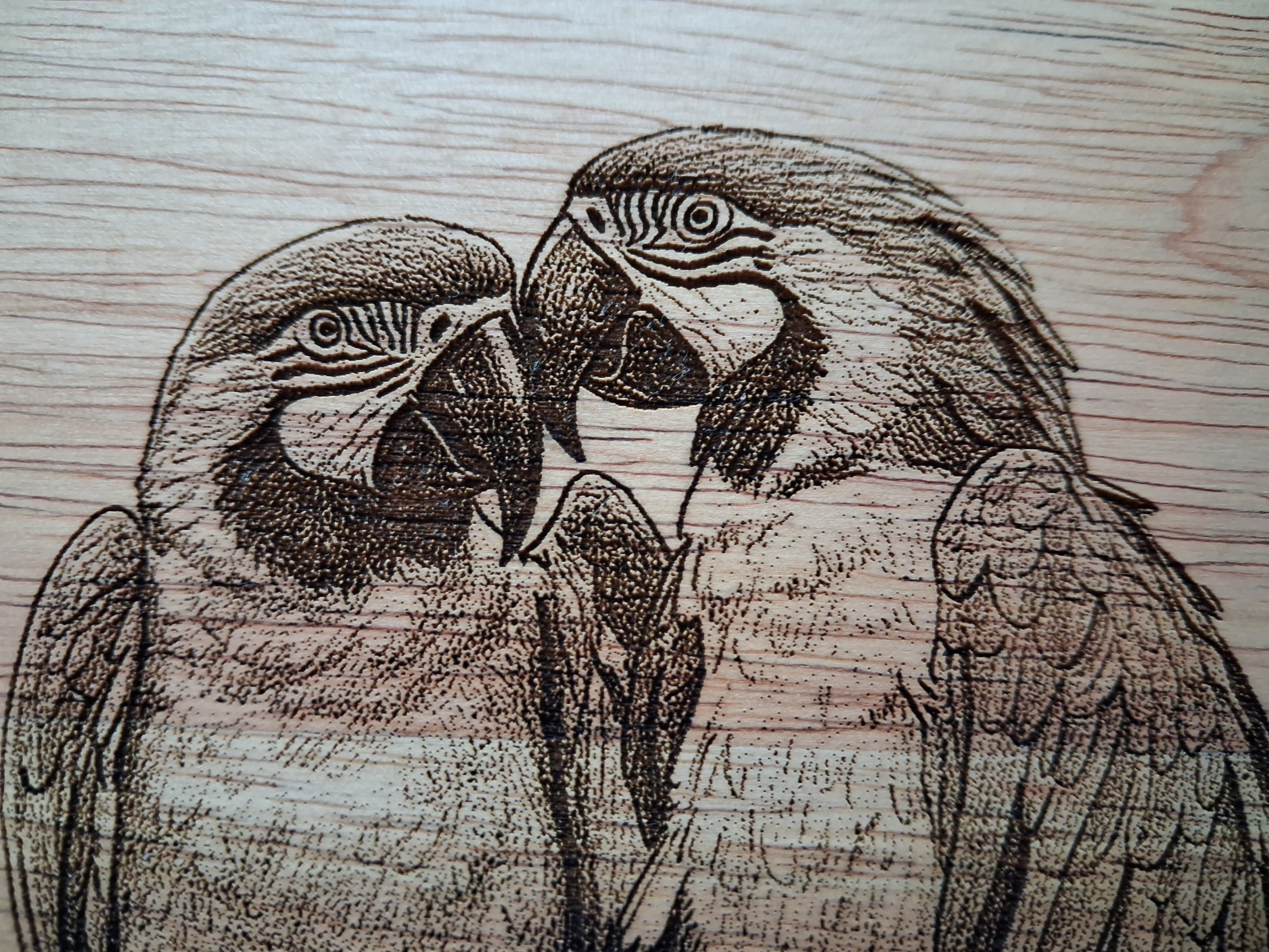Macaws 'Love is ..' Design Medium Chopping Board With Handle Close-up 
