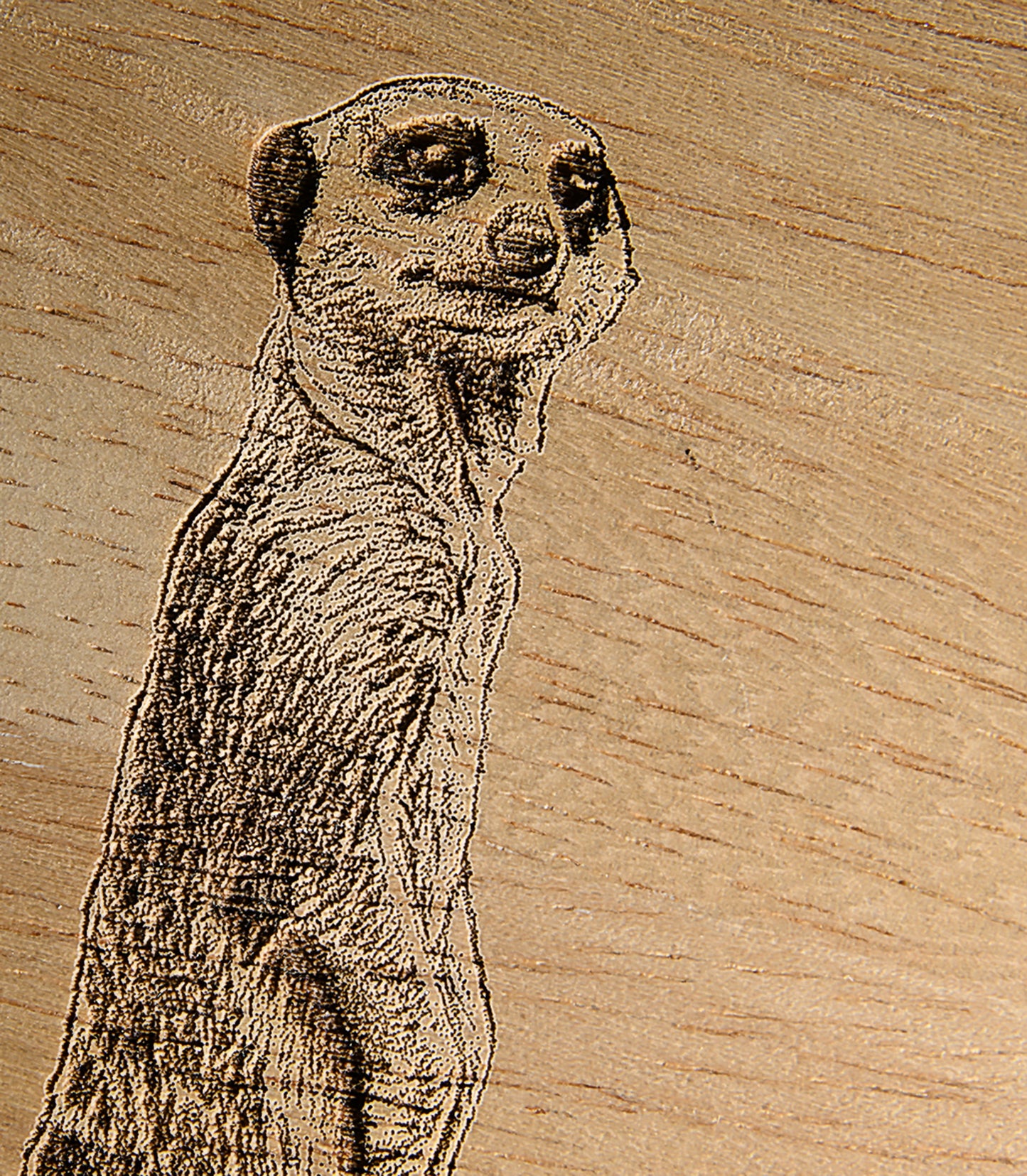 Meerkats Design Cheese Board Set with Tools Close-up Image