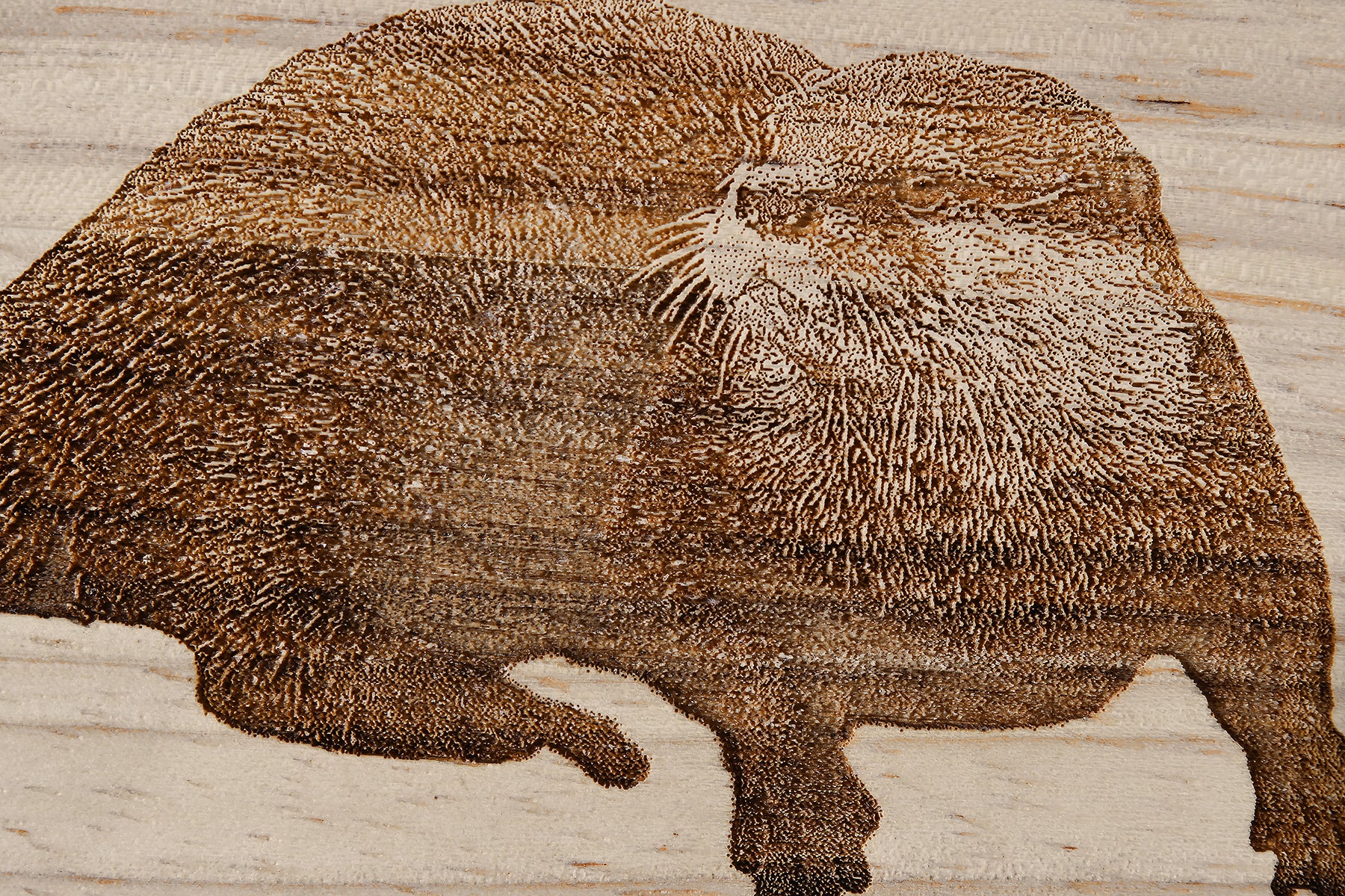 Otter Design Cheese Board Set with Tools Close-up Image 