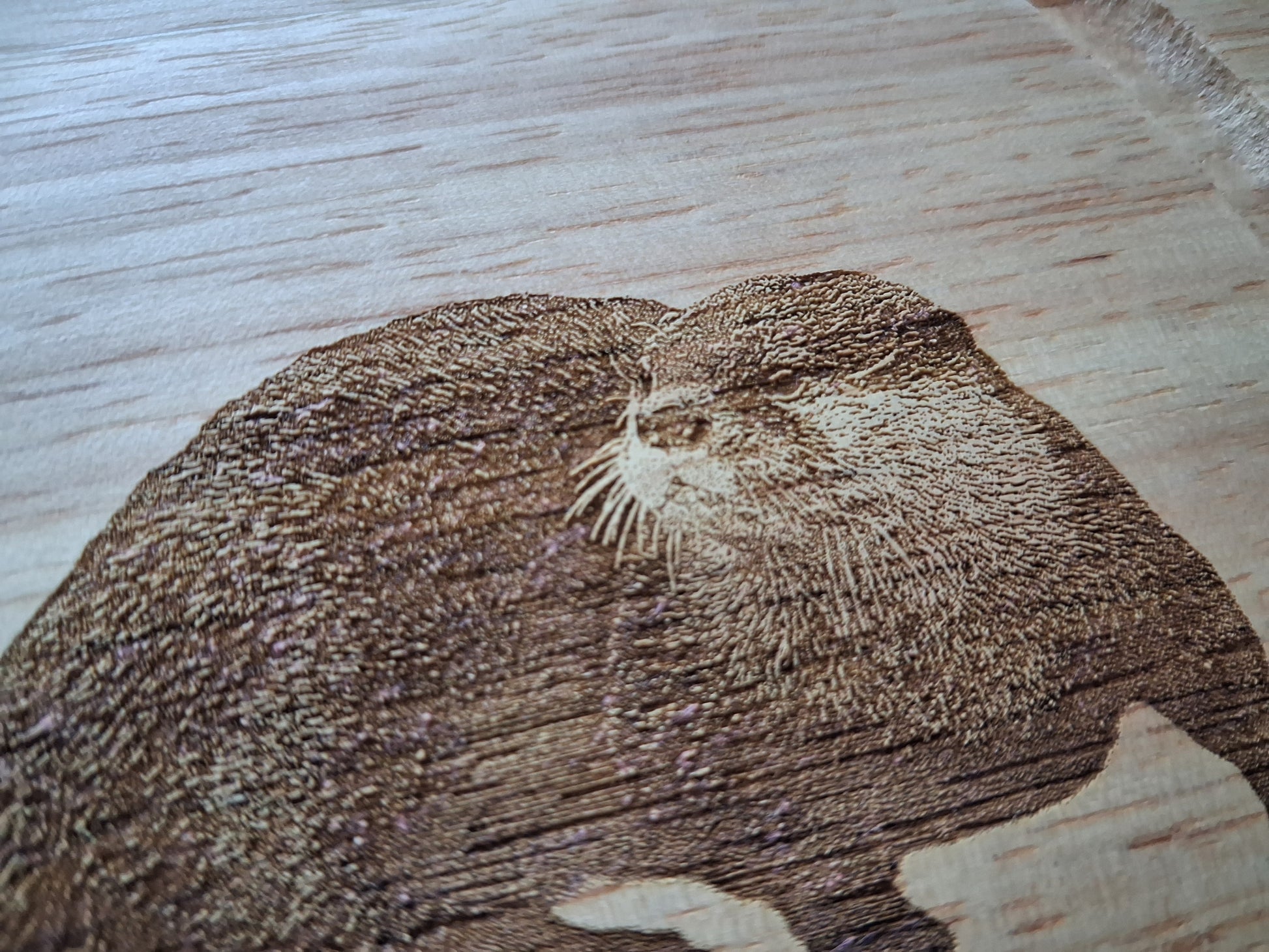 Otter Design Cheese Set with Tools Close-up 