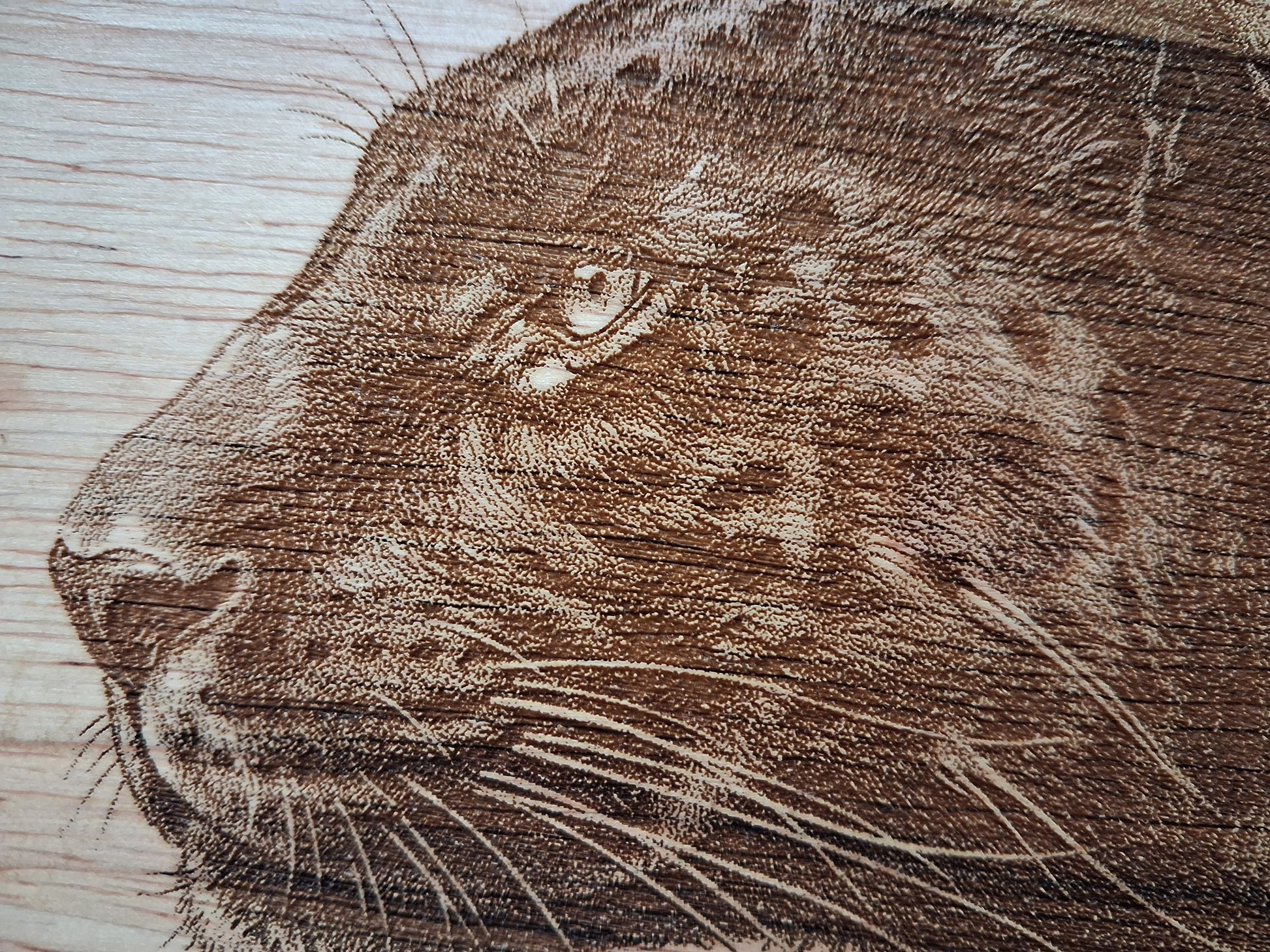 Panther Design Cheese Board Set Tools Close-up 