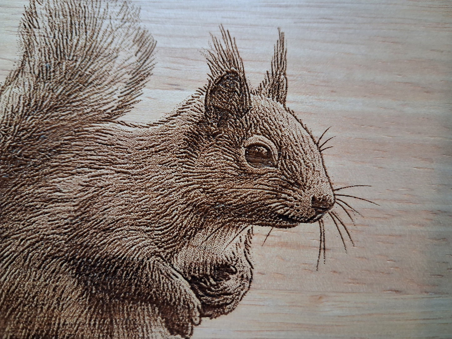Red Squirrel - Medium Wooden Chopping Board (34x24x2cm) - Close-up 
