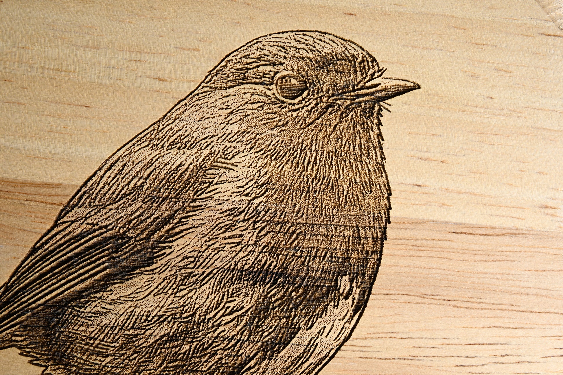 Robin Design Cheese Set with Tools (21cm dia. x 4cm) Close-up 