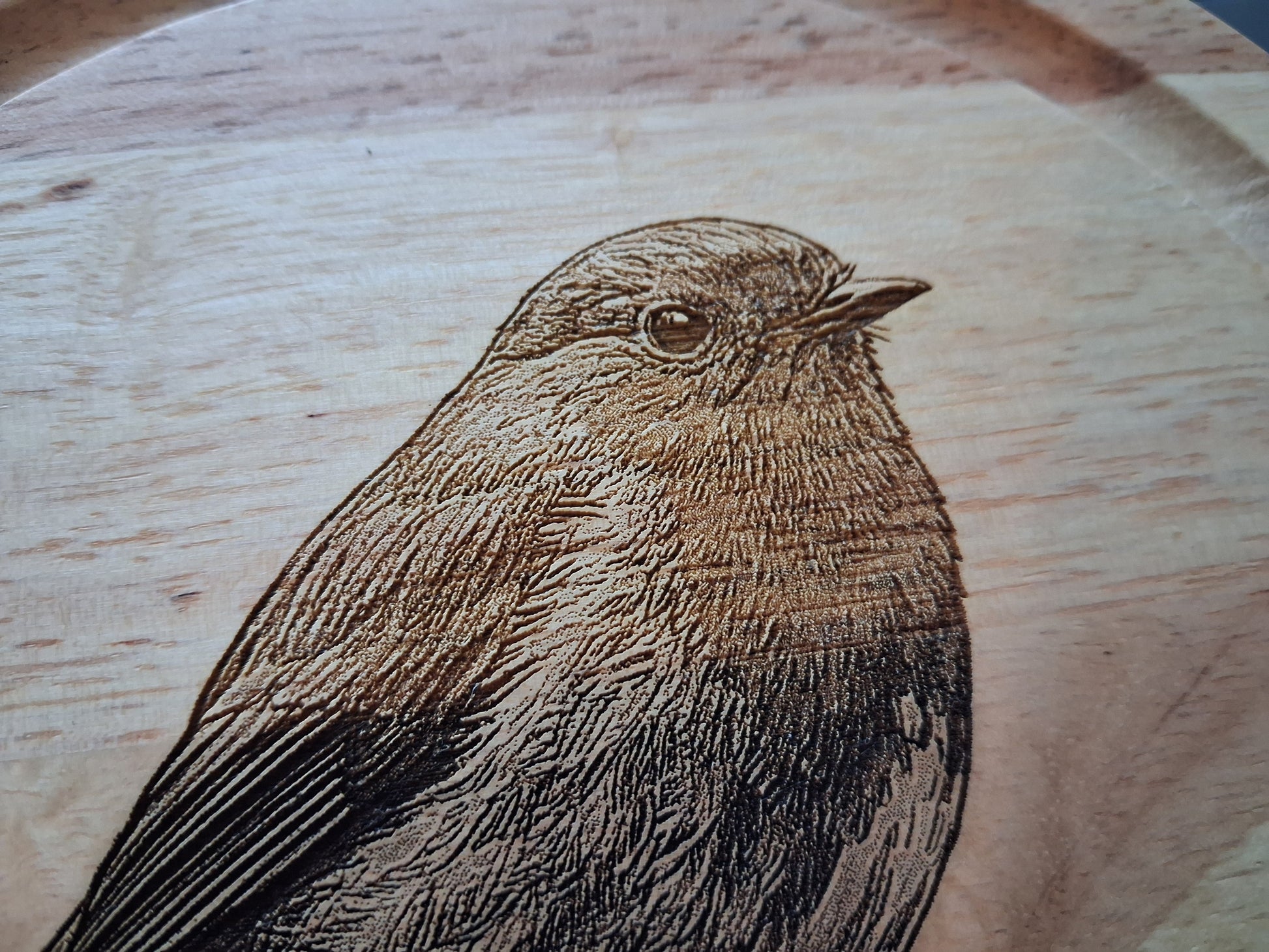 Robin Design Cheese Set with Tools Close-up 