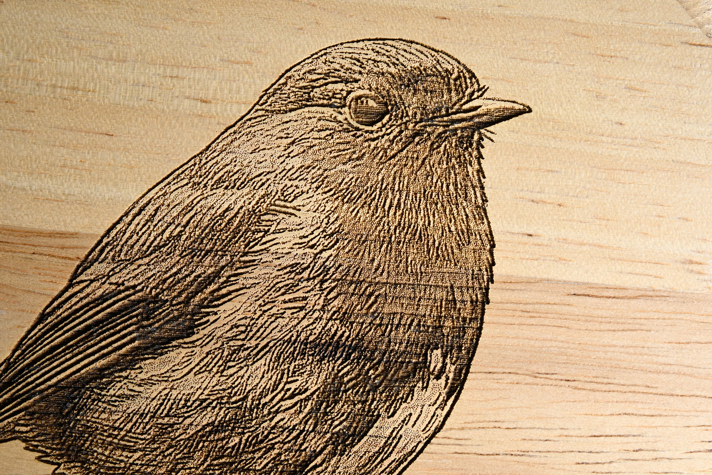 Robin Design Cheese Set with Tools Close-up Image 