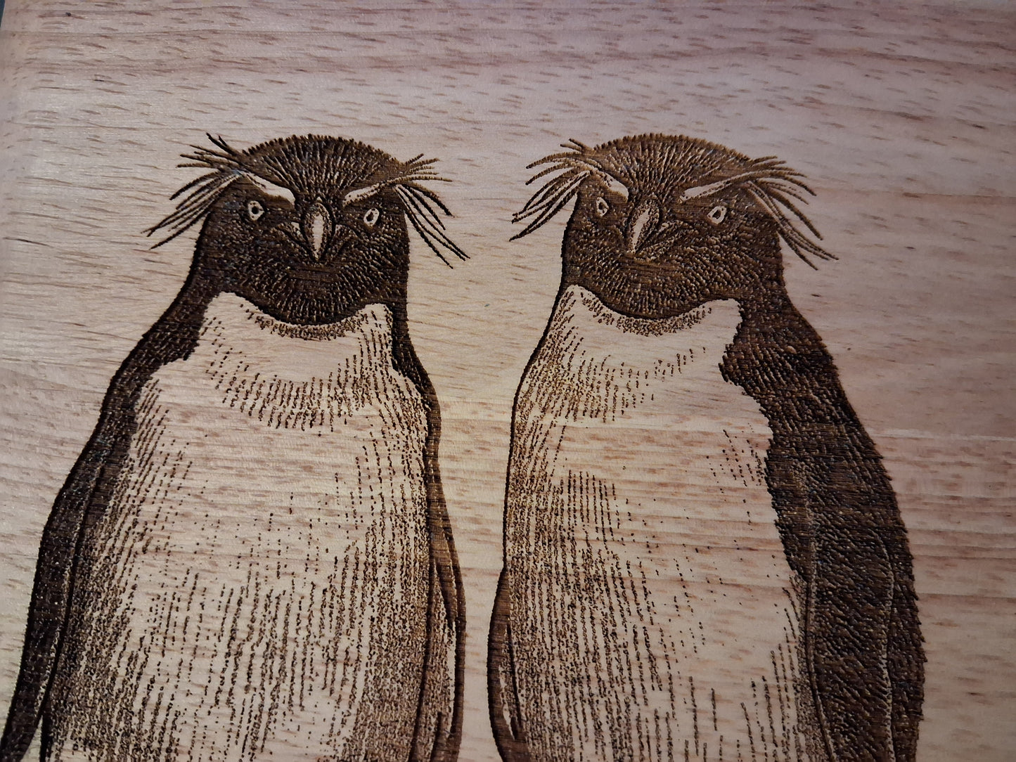 Rockhopper Penguins - Medium Wooden Chopping Board (34x24x2cm) - Close-up 