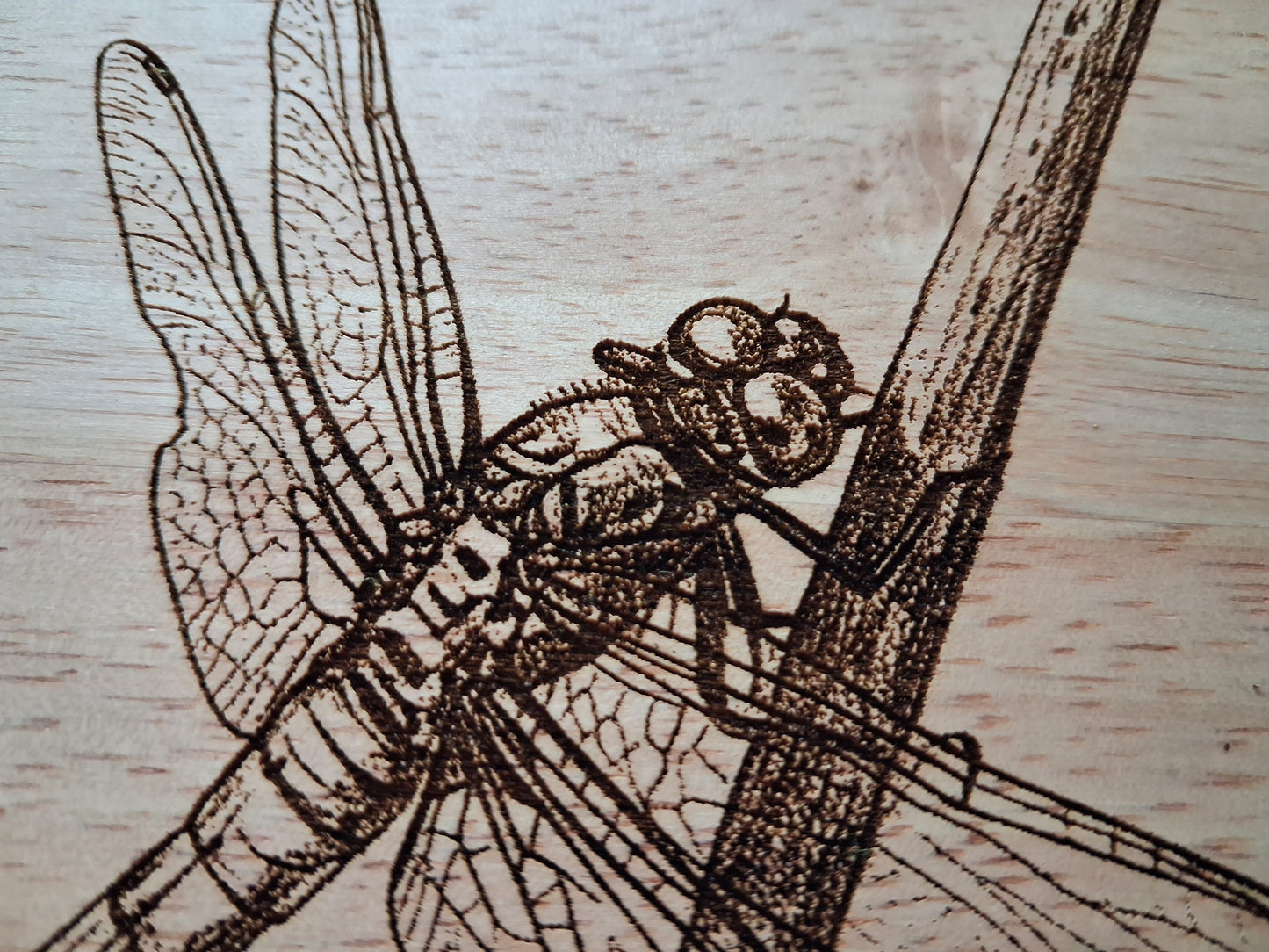 Scarce Chaser Dragonfly - Small Chopping Board (30x20x1.7cm) - Close-up 