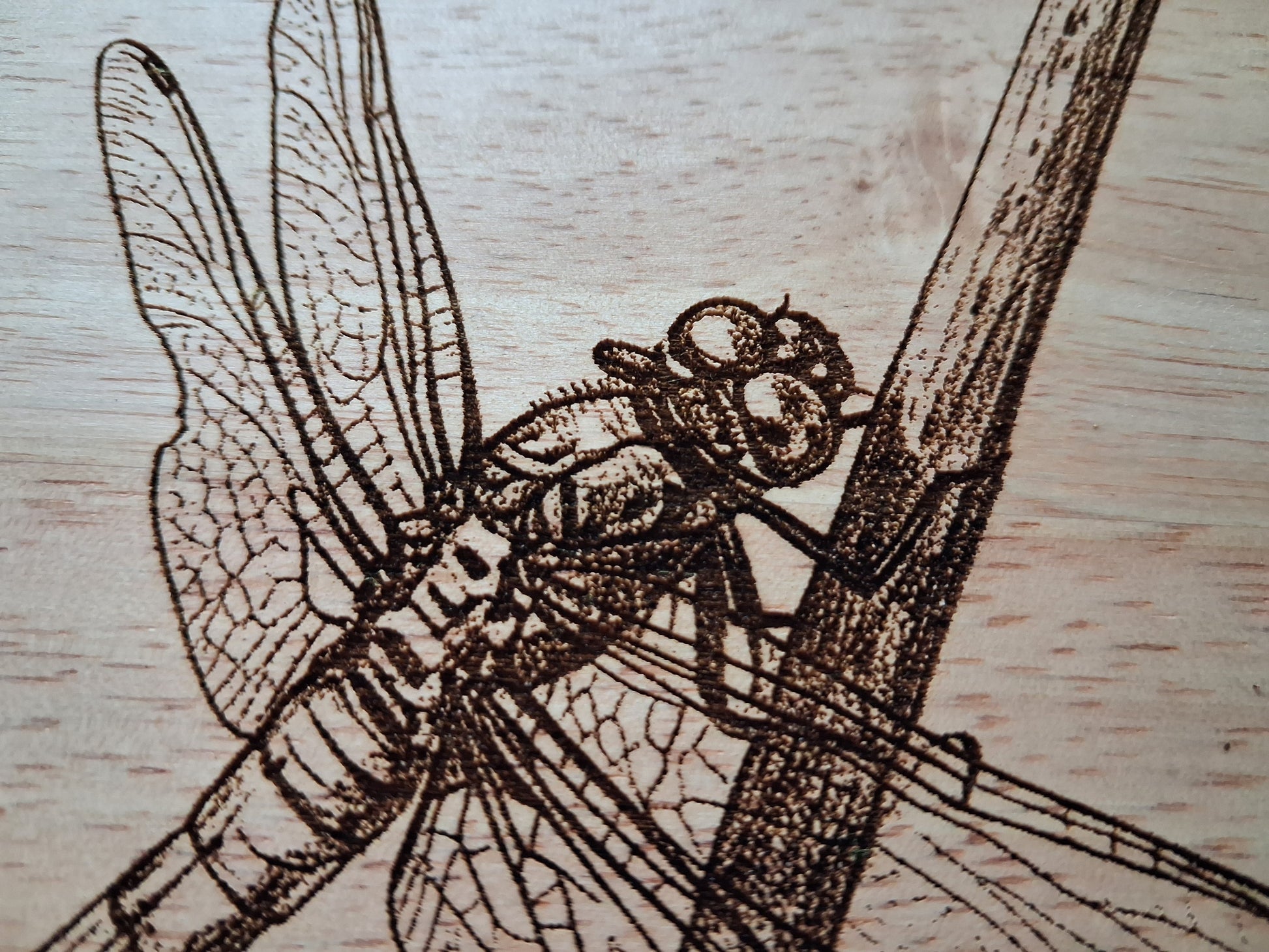Scarce Chaser Dragonfly - Small Chopping Board (30x20x1.7cm) - Close-up 