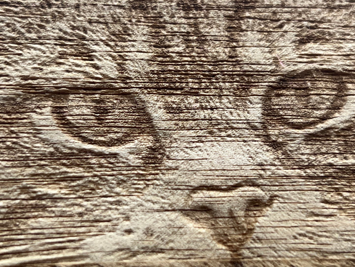 Scottish Wildcat Design Small Chopping Board close-up image 