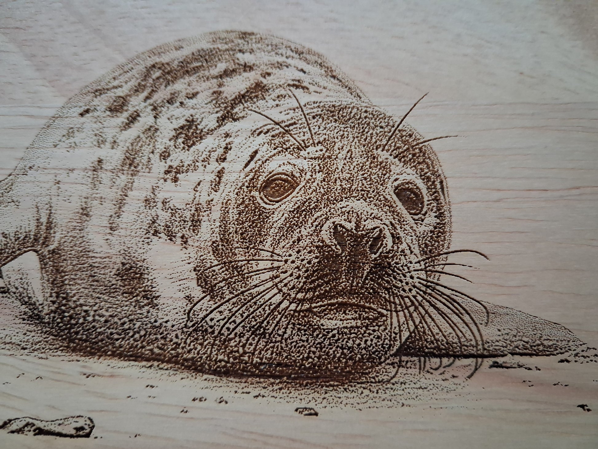 Seal Design Cheese Board Set with Tools Close-up 