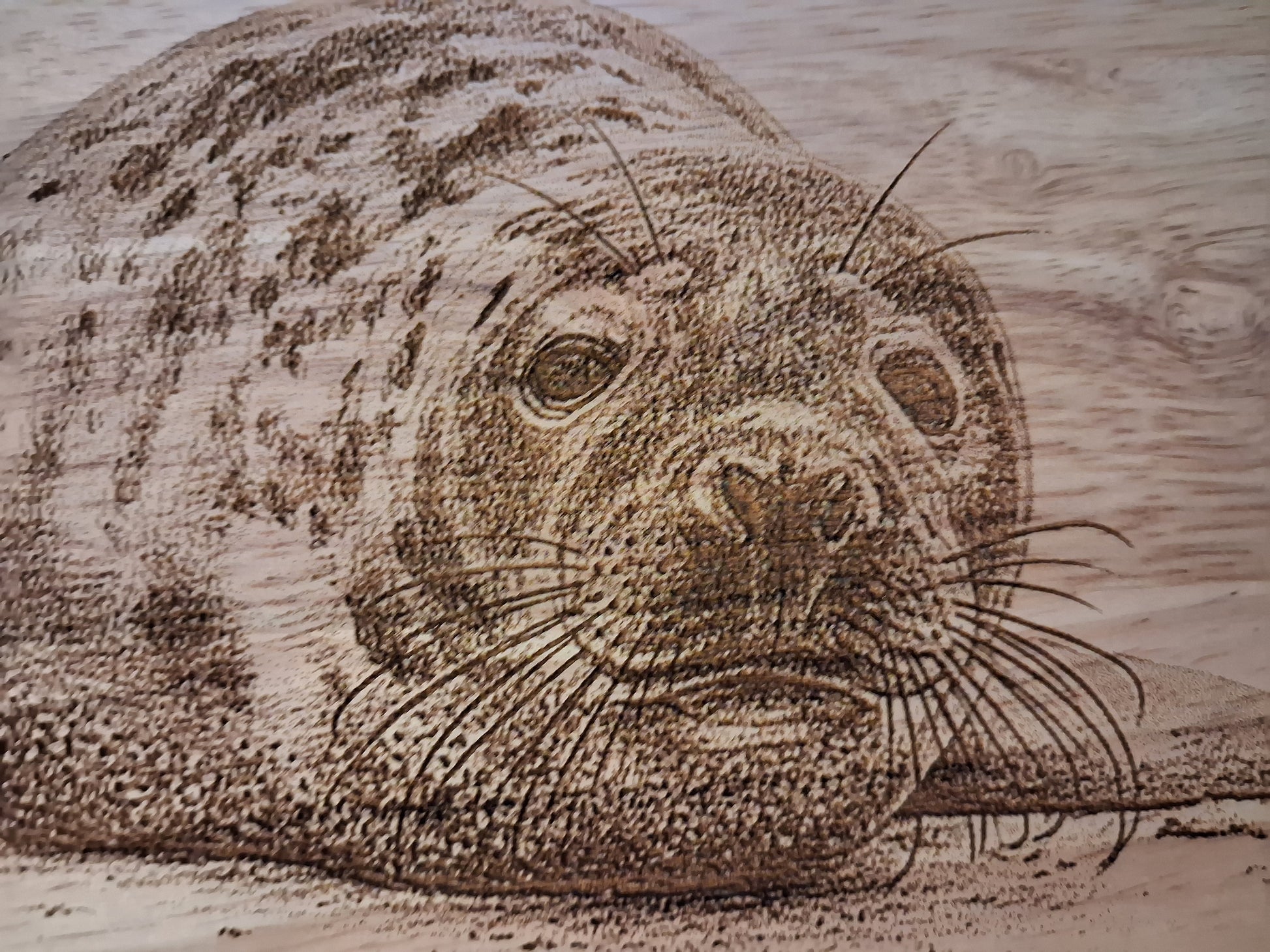 Seal Design Medium Chopping Board With Handle Close-up 