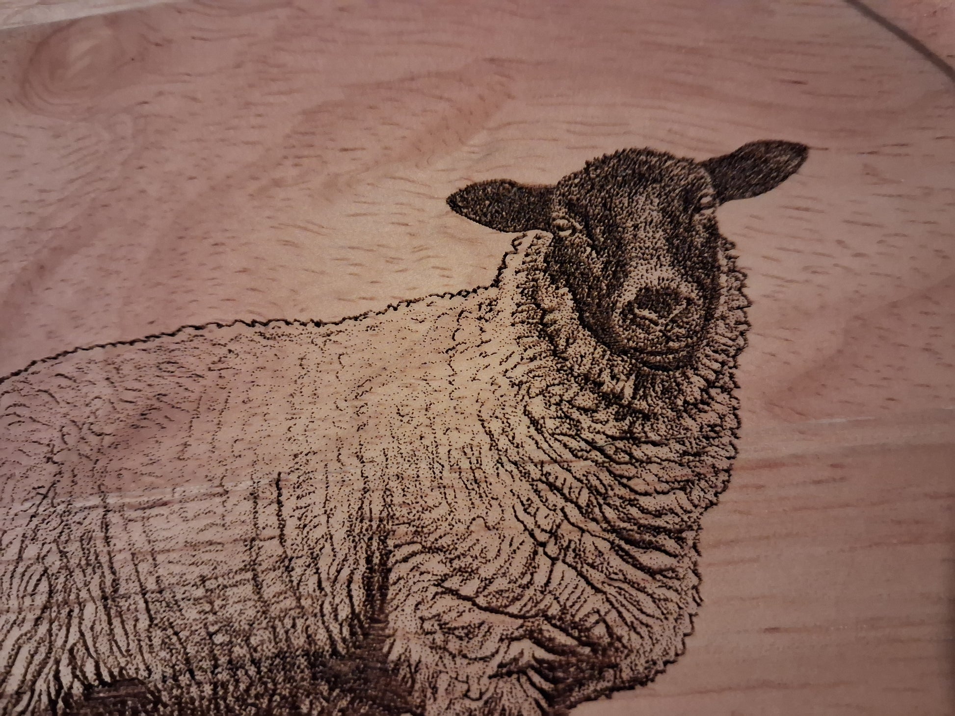 Sheep Design Cheese Board Set with Tools Close-up 