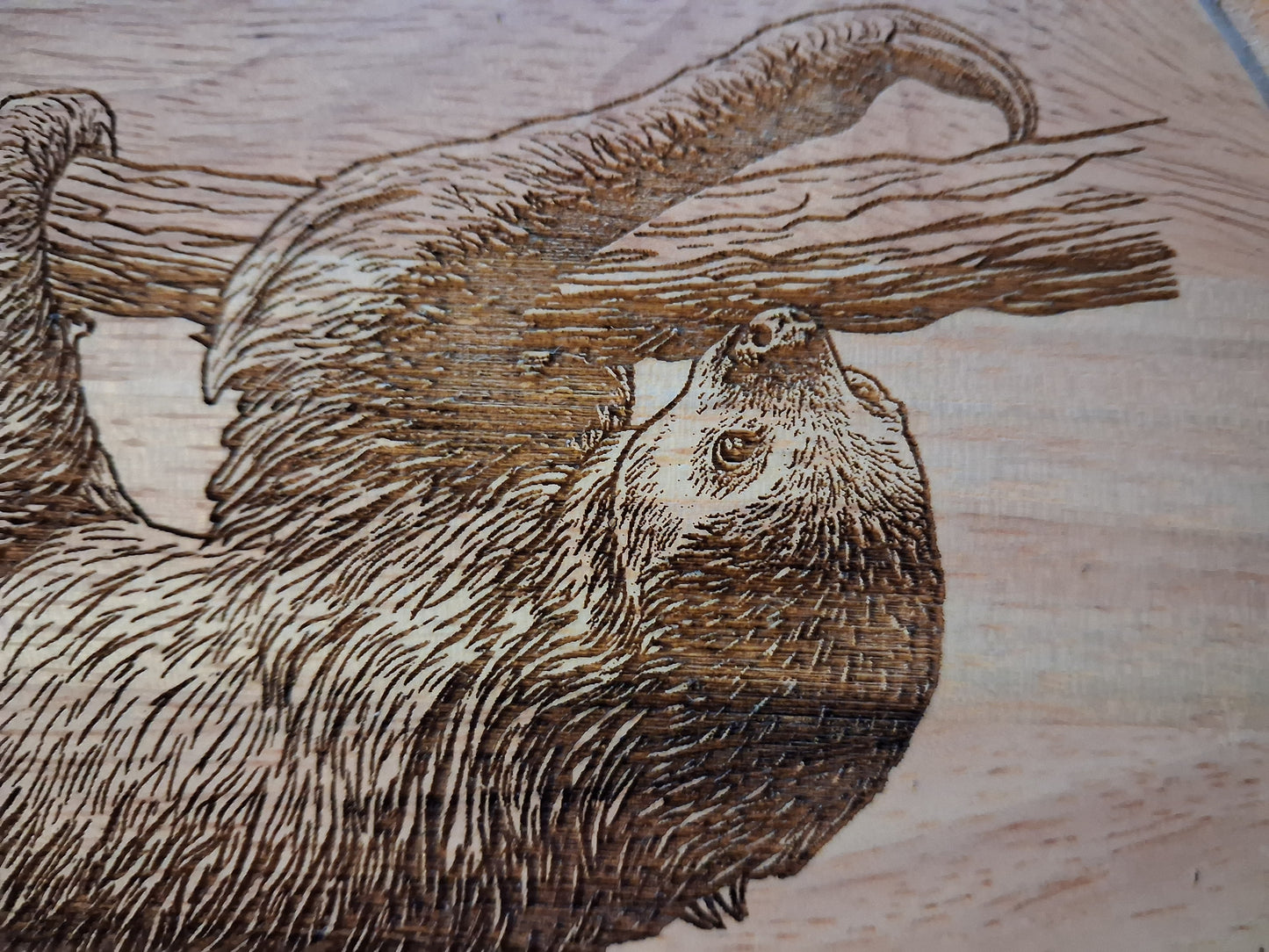 Sloth Design Cheese Board Set with Tools Close-up 