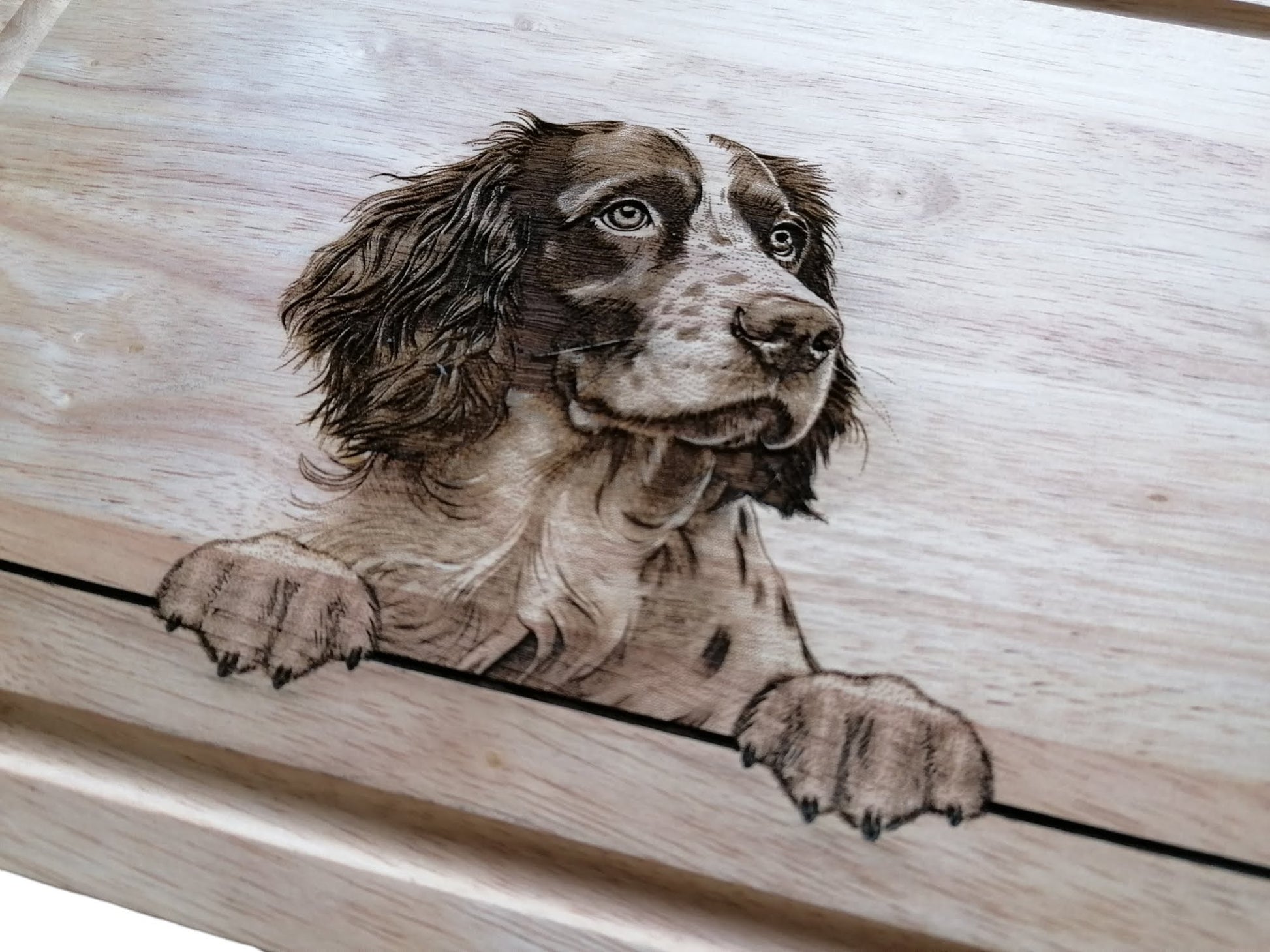 Springer Spaniel Design Chopping Board 