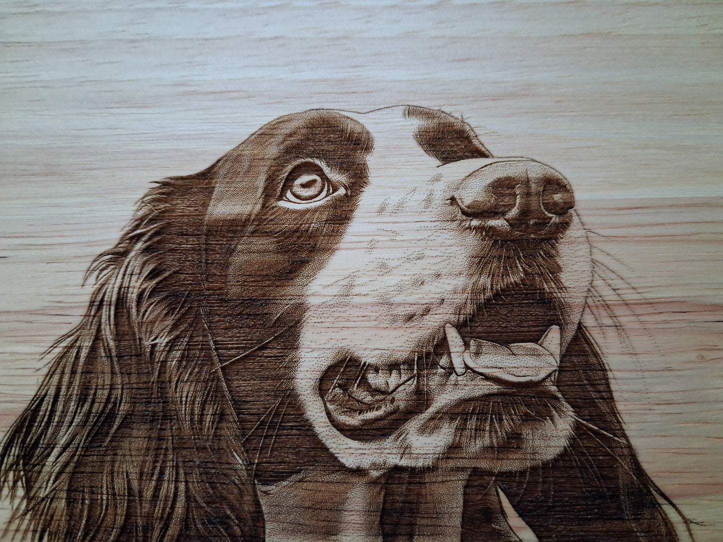 Springer Spaniel Dog Design #2 Medium Chopping Board With Handle Close-up 
