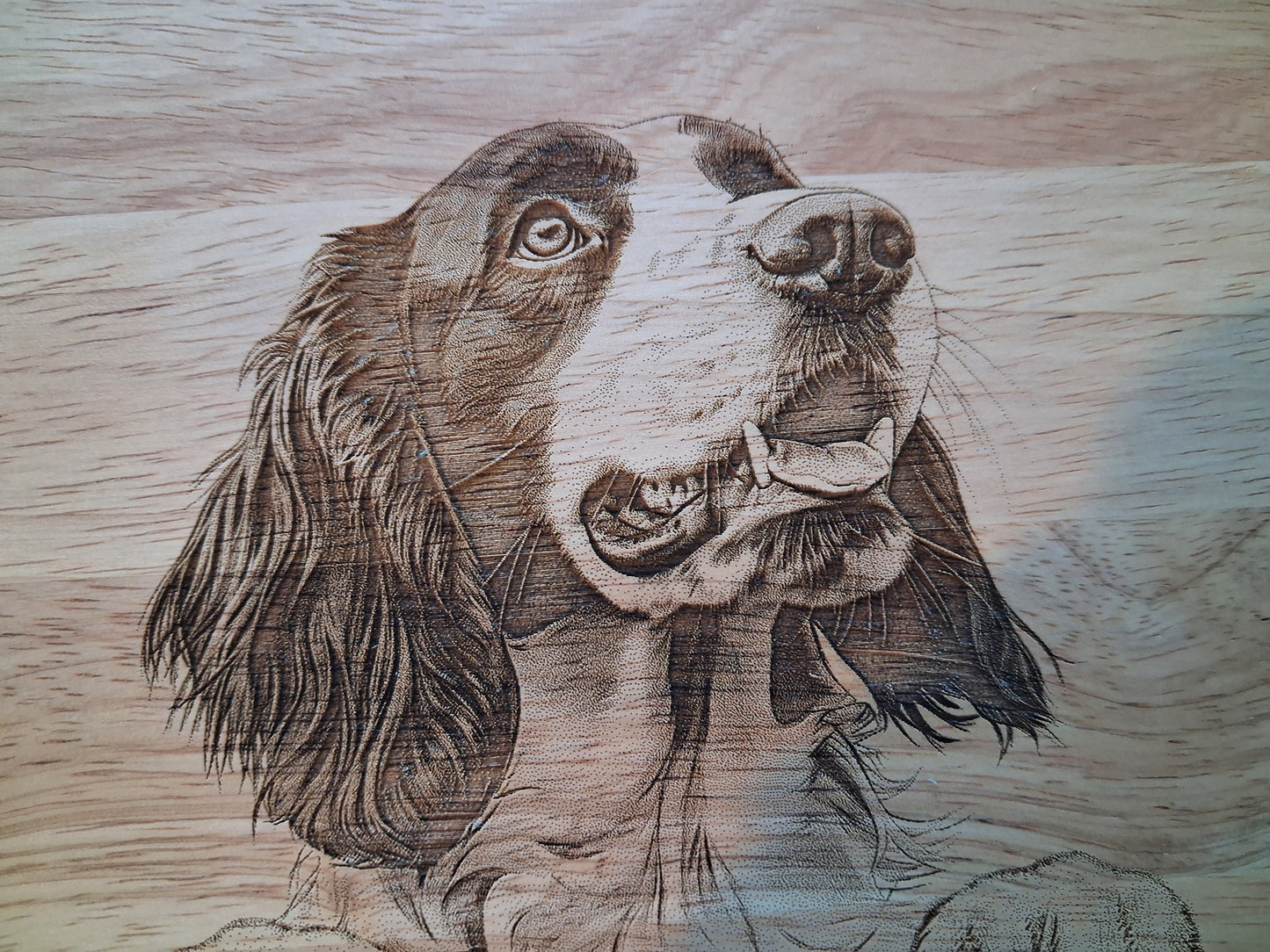 Springer Spaniel Dog Design #2 Small Chopping Board Close-up 