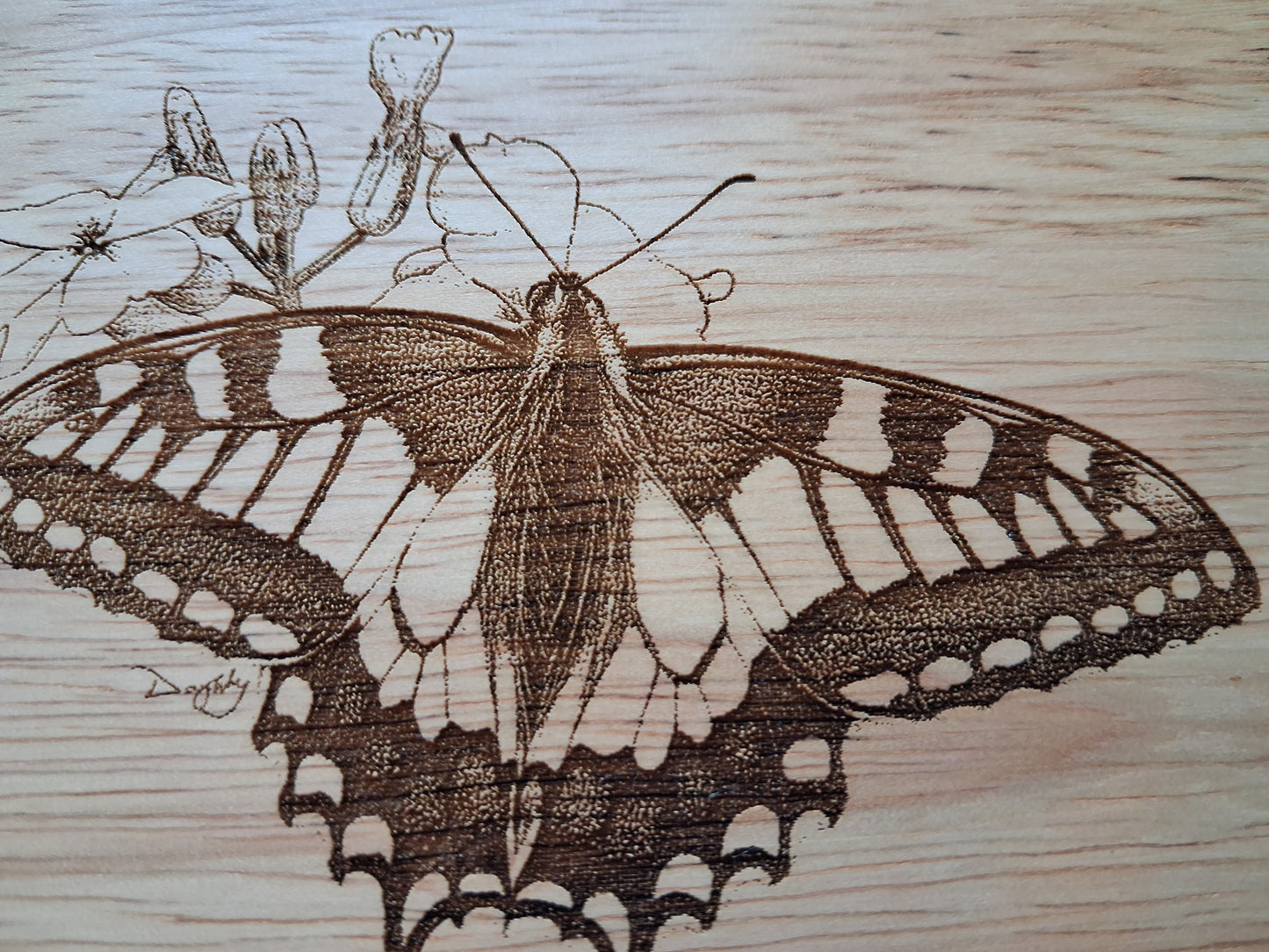 Swallowtail Butterfly - Small Chopping Board (30x20x1.7cm) - Close-up 